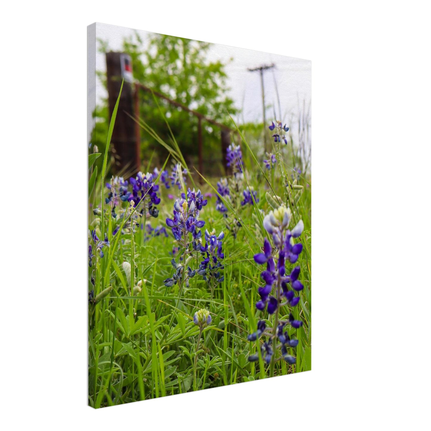 2d884dc6-1109-49aa-992d-f412b9625c4e