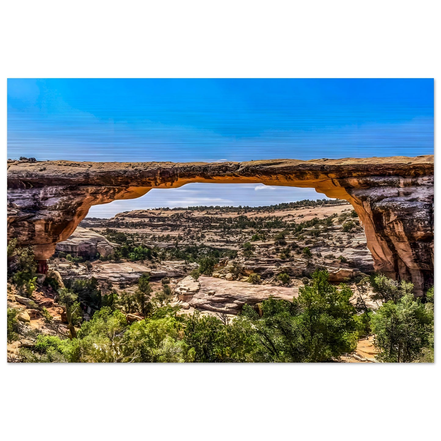 2e0cf5e0-1caf-4cc0-a22a-0e74ed913fc3