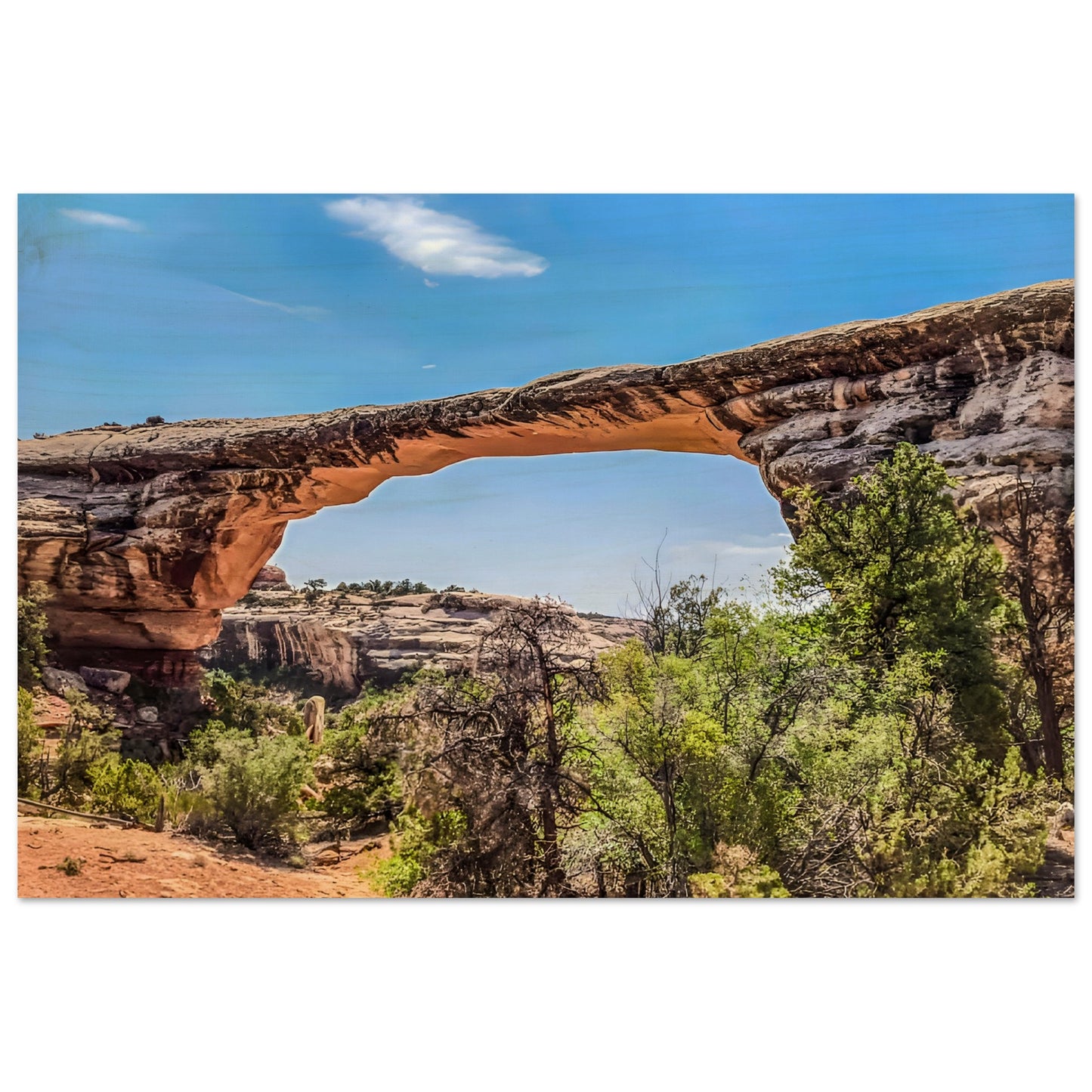 2ff82f4d-3f9b-42d1-b94a-6c62c0146042