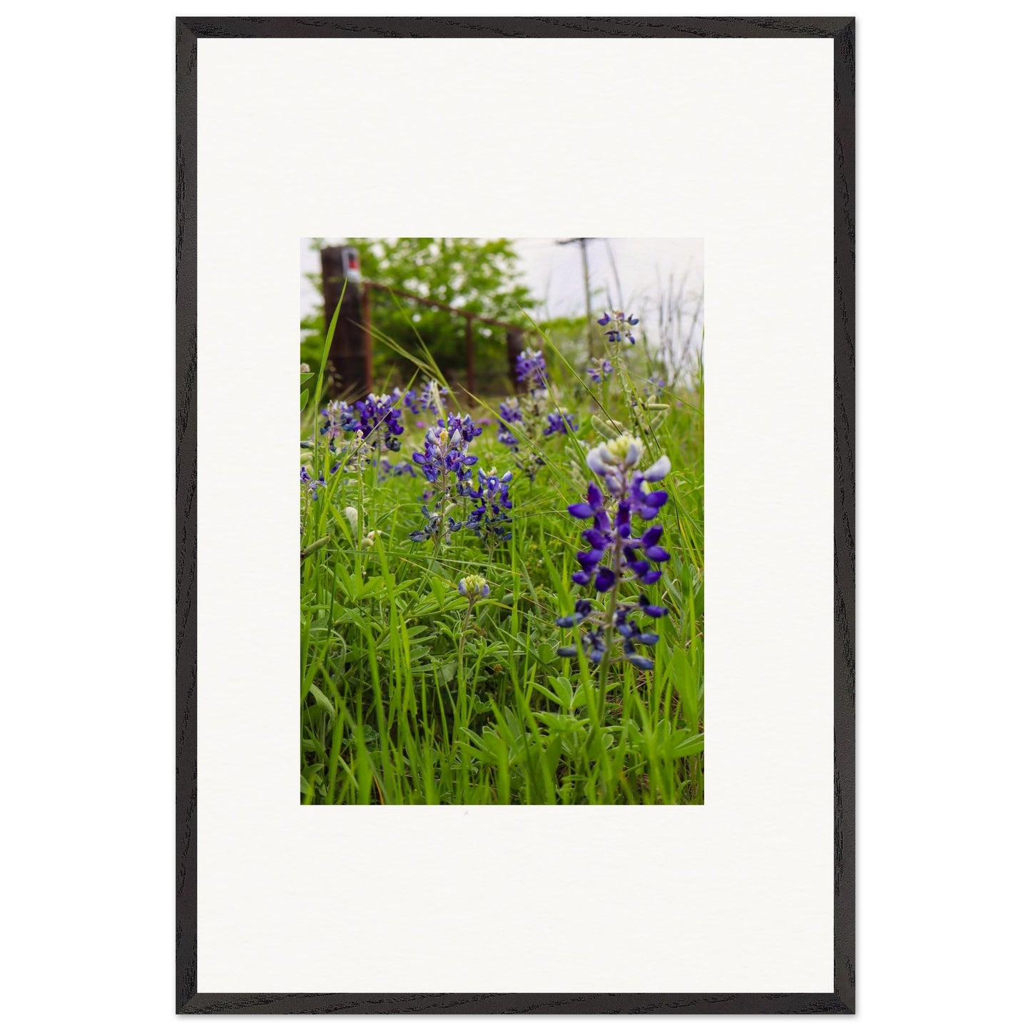 3028cda0-eb48-4d40-89ea-f2543fdb252a