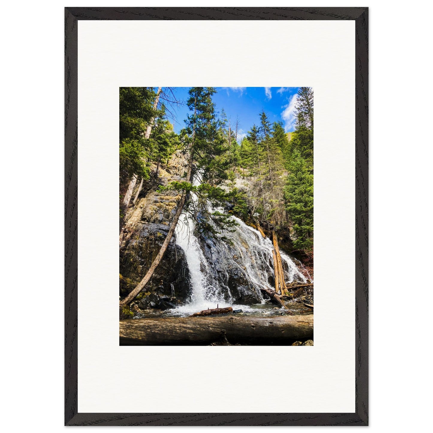 33174fcc-f215-4507-b043-09ba65f56d7c