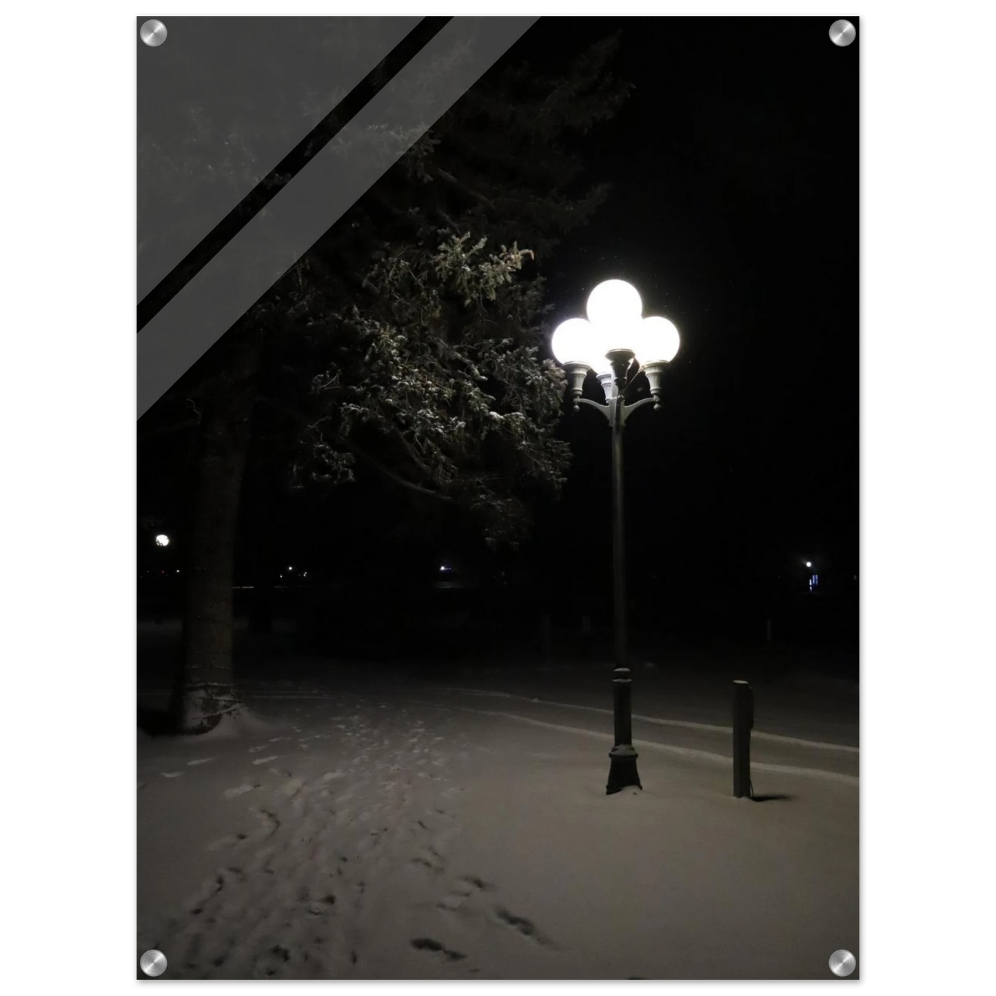 33646d02-d12f-42fb-88f1-ea275b033a62