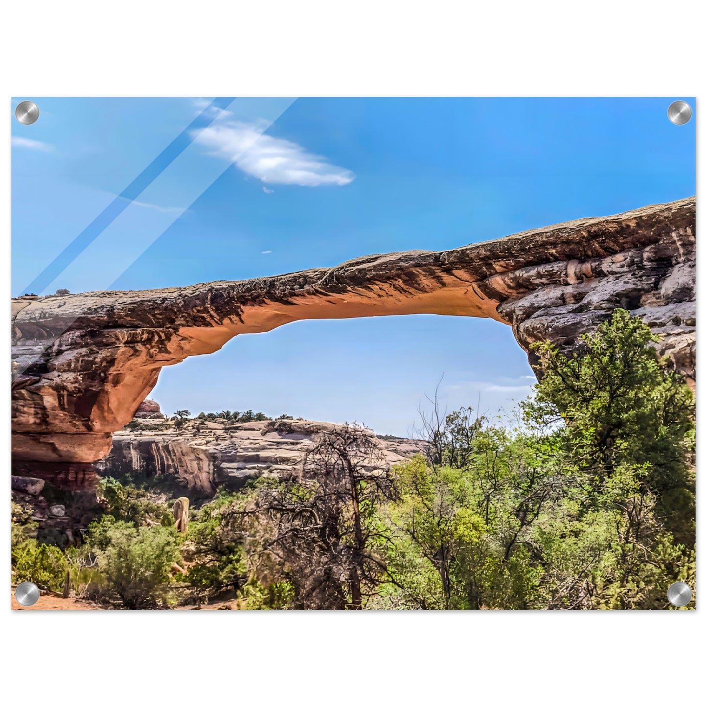 3448536f-b7ca-45df-8615-50b3c5f7fc48