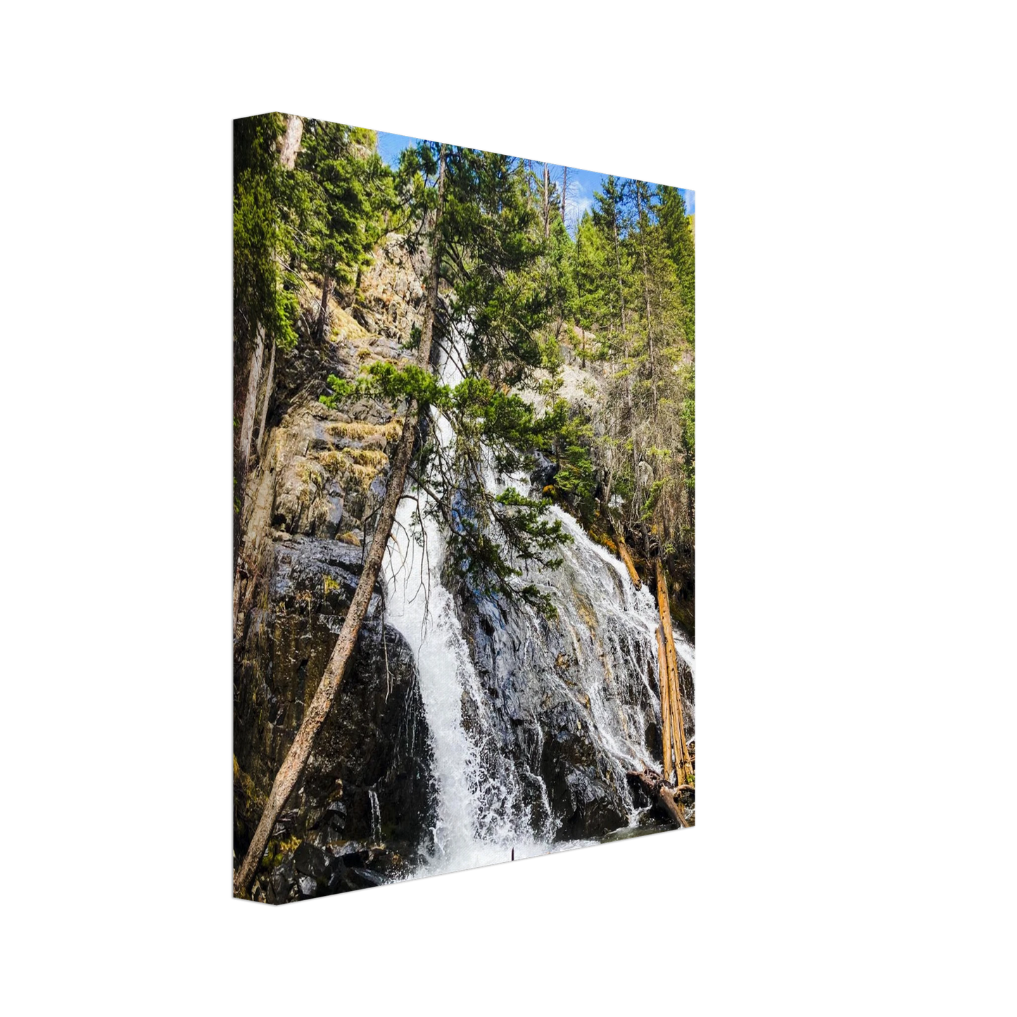 39a615ad-dca8-4899-a5f3-8b28e5ecbb5c