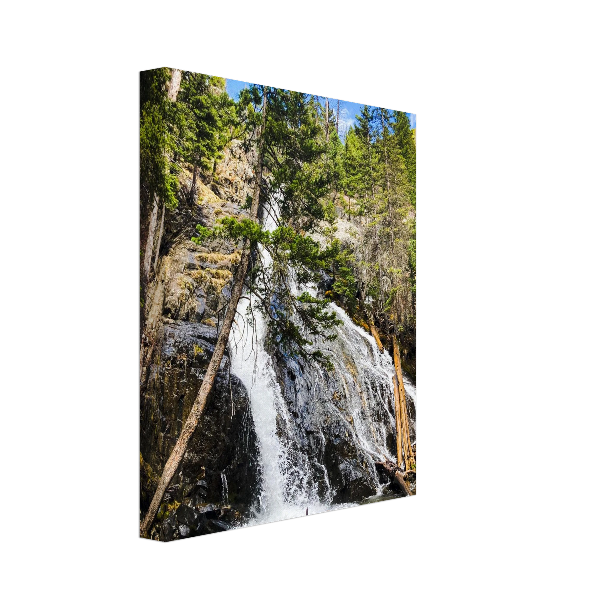 39a615ad-dca8-4899-a5f3-8b28e5ecbb5c