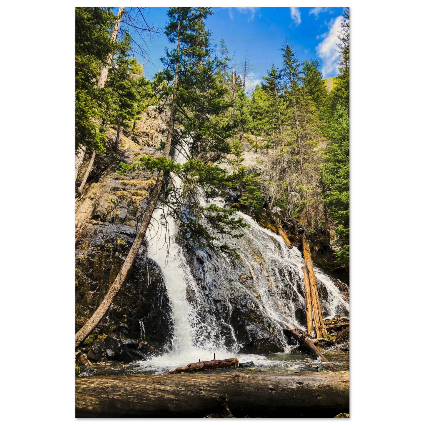 3a63090e-4c1d-40ce-888f-d09ea8c352b5