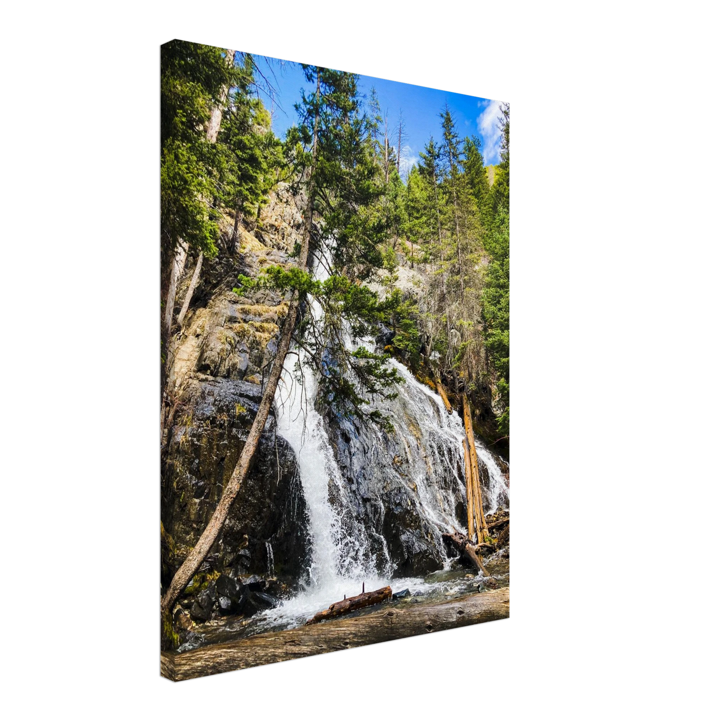 3b6add20-f2e6-484c-8f5a-6111fd6a9092