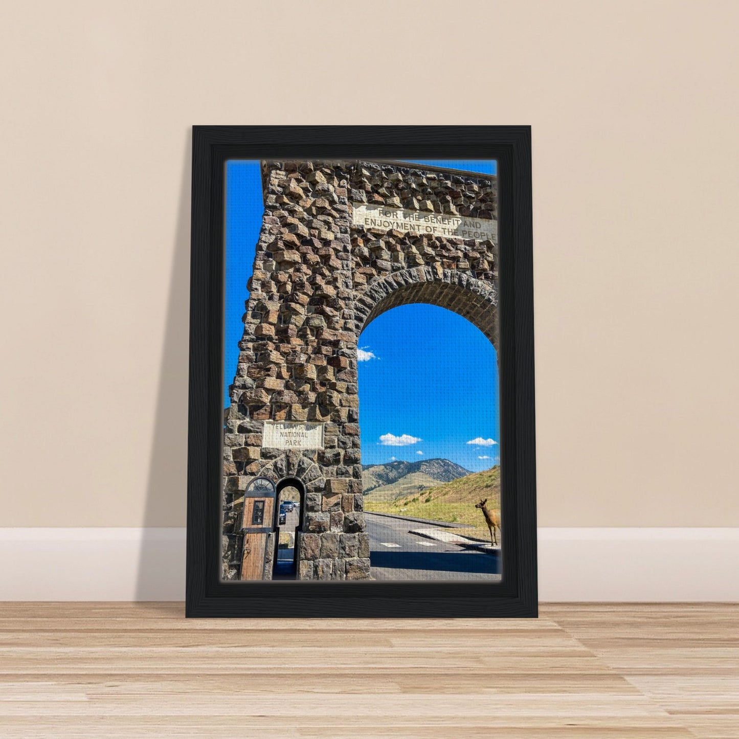 3bbfc9ea-179b-4803-abbd-f531d508e39c