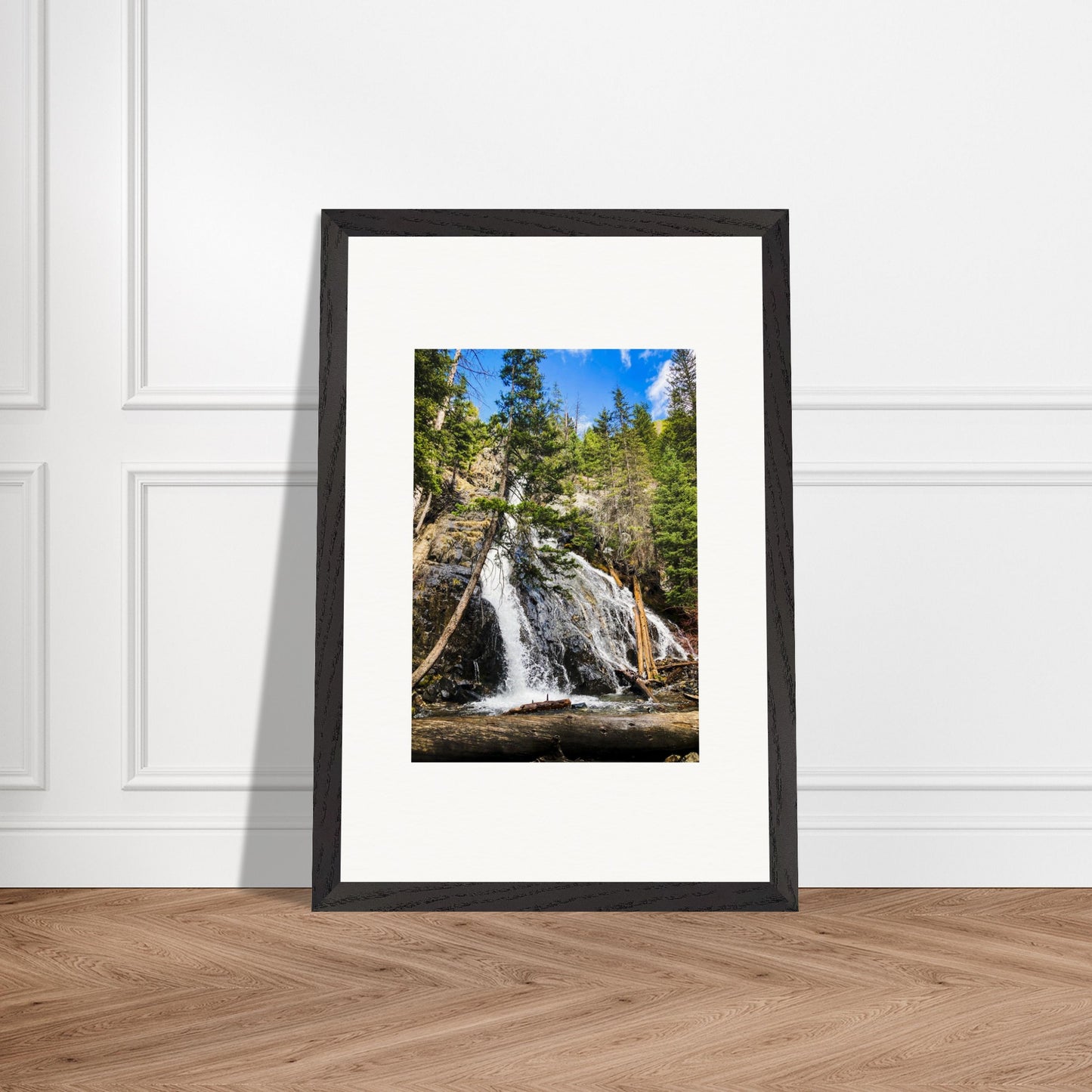 3d101cba-0cc3-4cb6-96ef-04515053356e