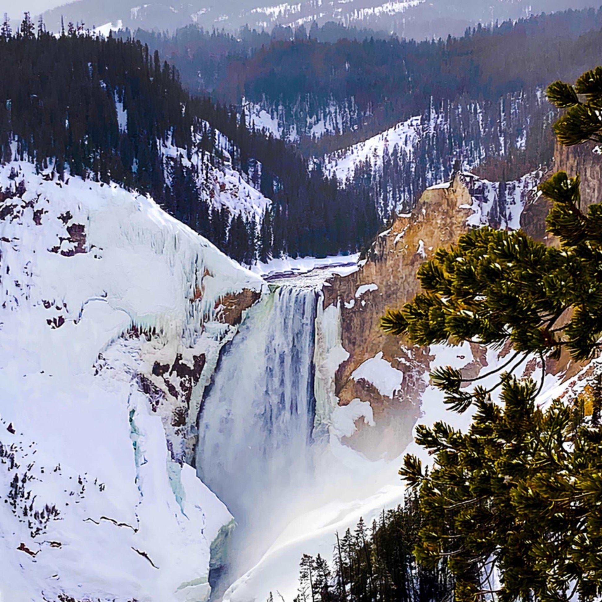 Lower Falls, Yellowstone National Park II Premium Matte Poster