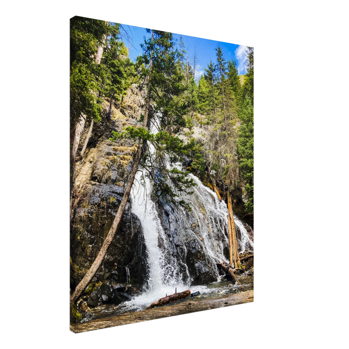 3ed0711e-fff2-4eb1-83da-1967e2f73b04