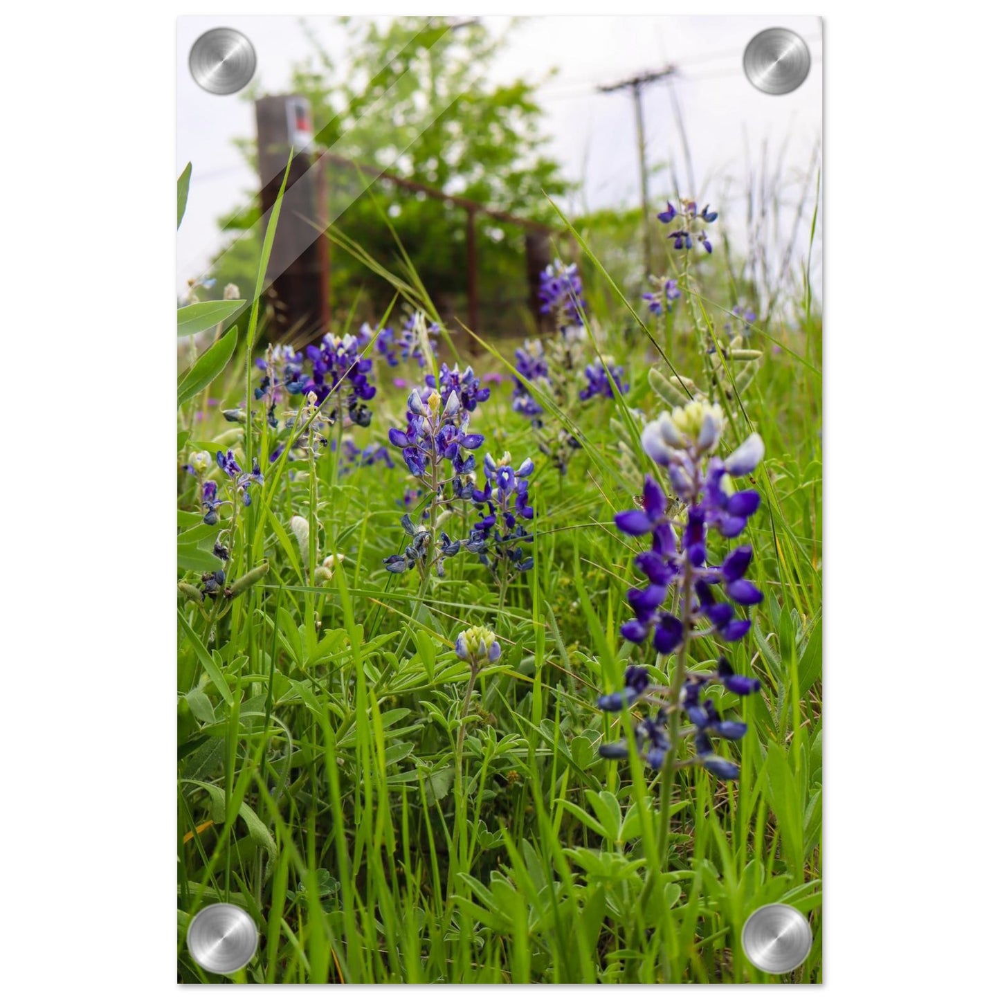 3f0f3beb-0081-4309-897d-890e0b497390