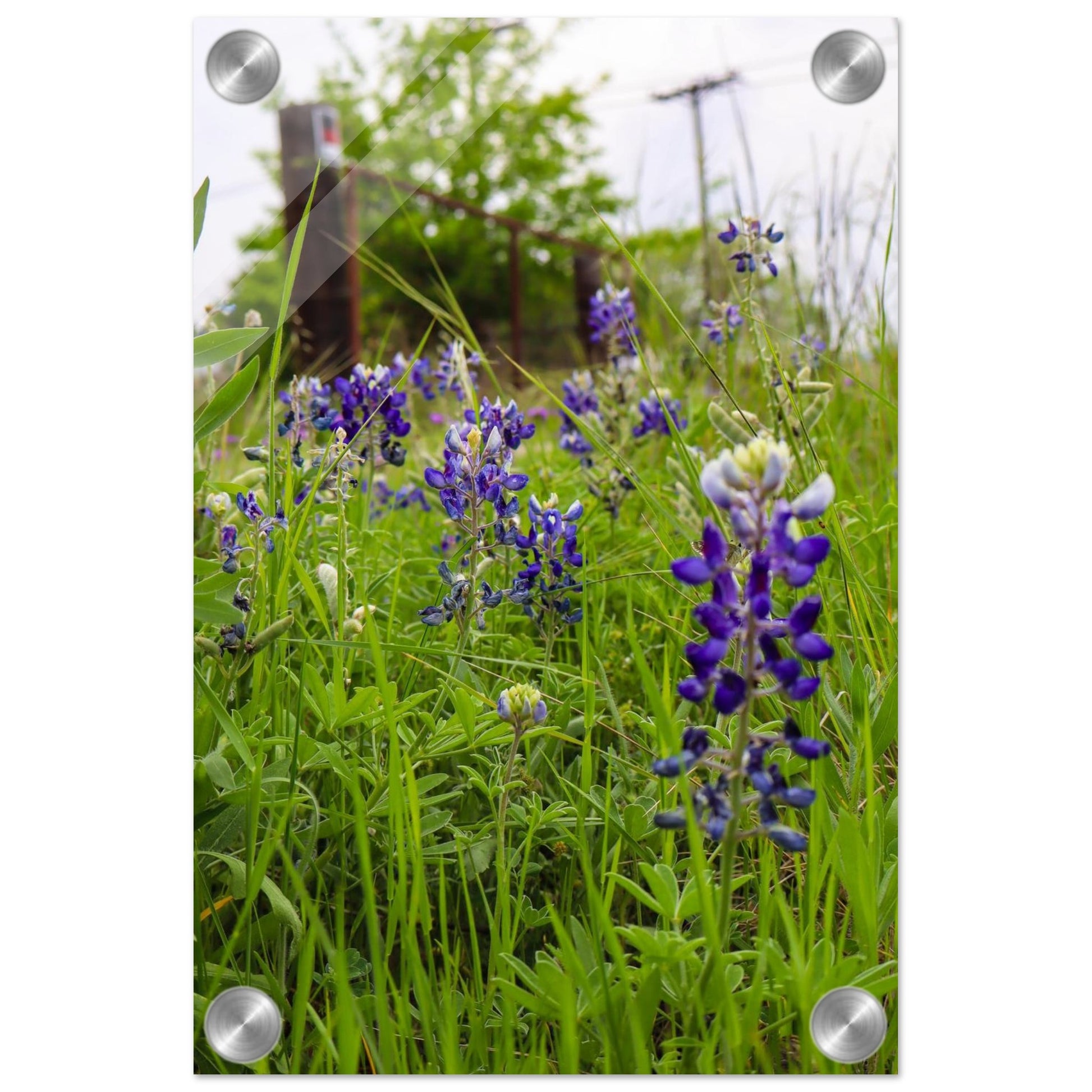 3f0f3beb-0081-4309-897d-890e0b497390