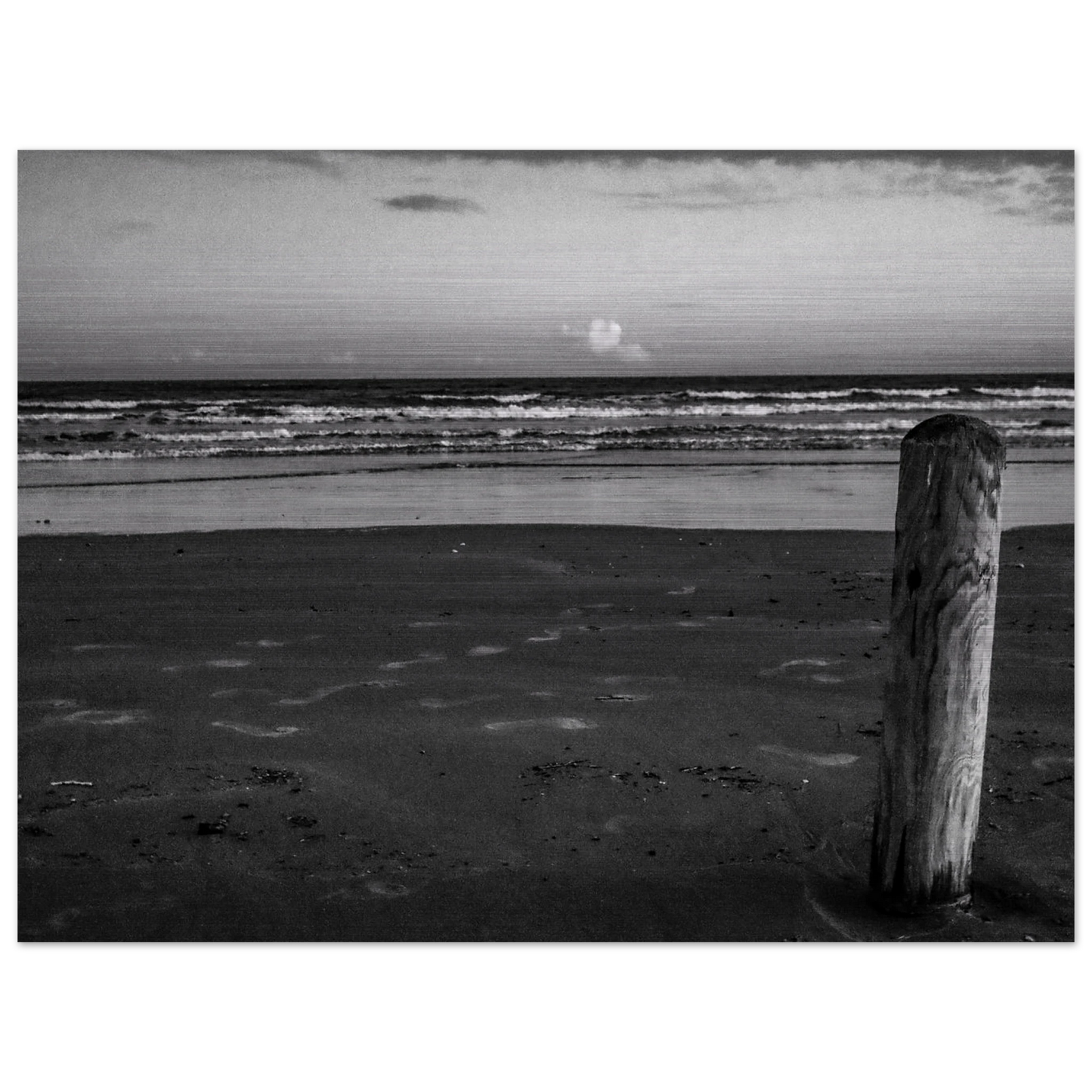 401da729-8587-4bc3-986f-e72e6e01d784