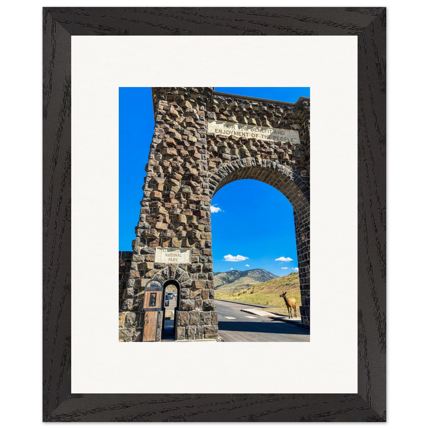 452c4135-c0f5-4210-bd04-d521cf10f3a9