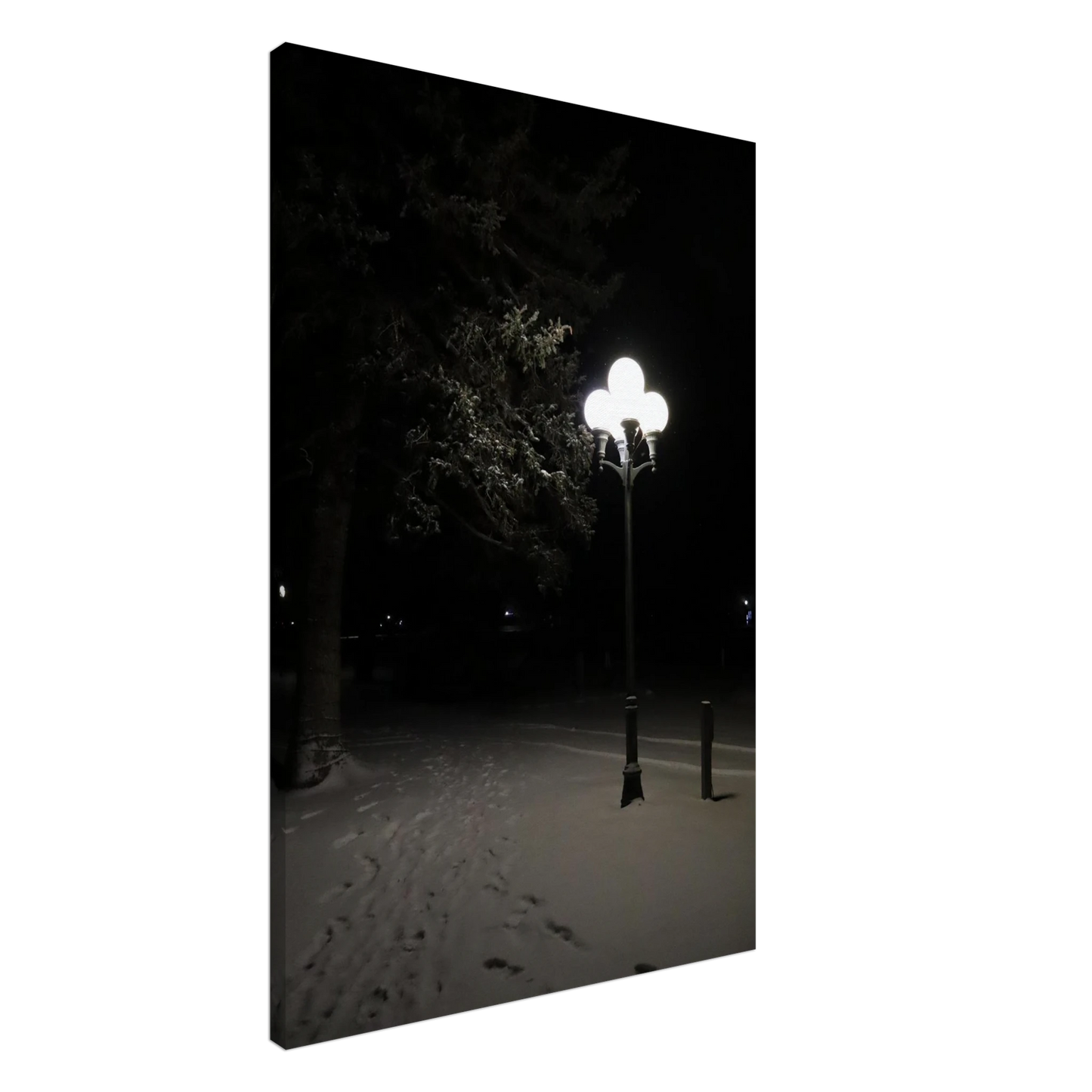 457bebe4-1974-41aa-a1f5-abd9ffa52229