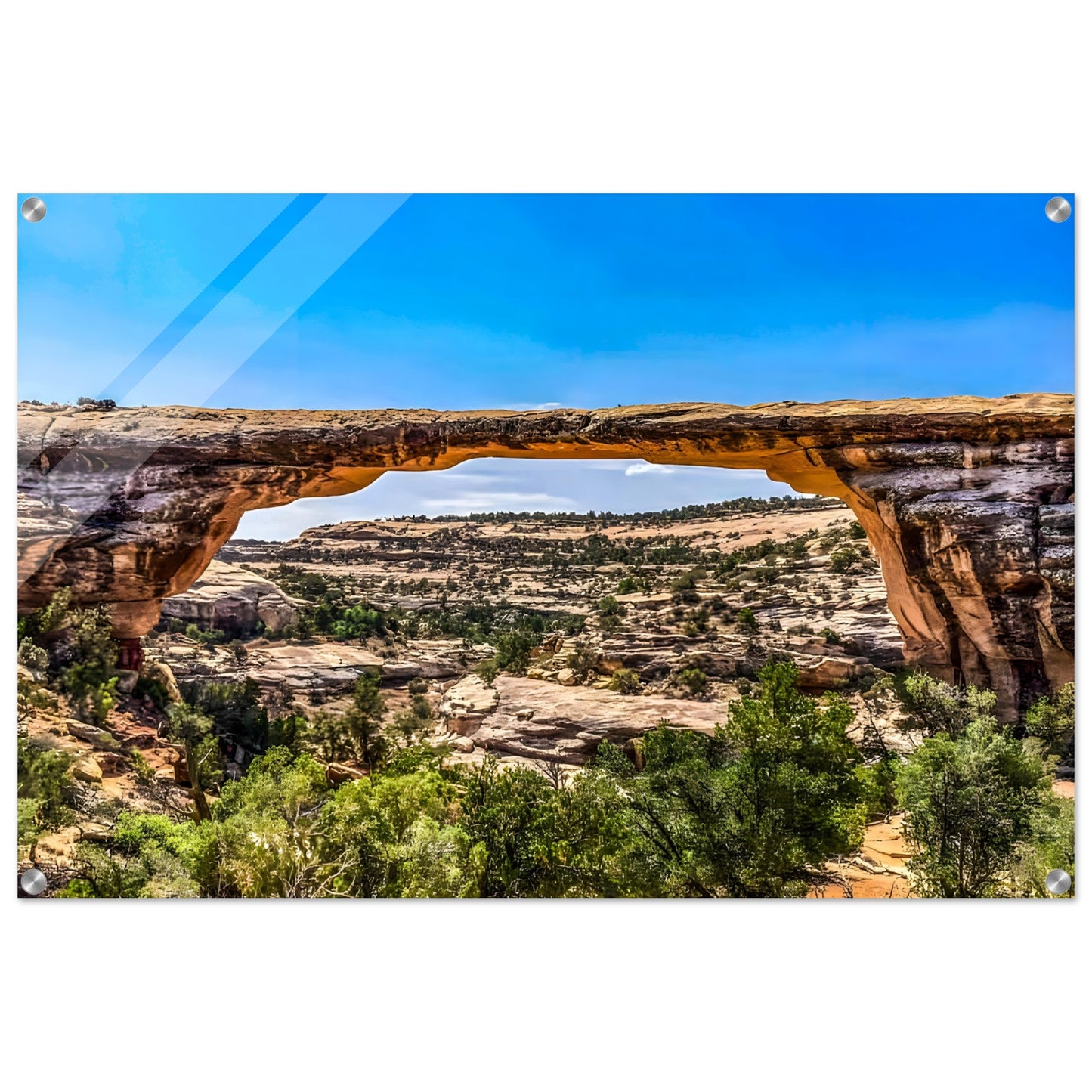 4be35746-8262-4c2c-83a6-560c05755d2a