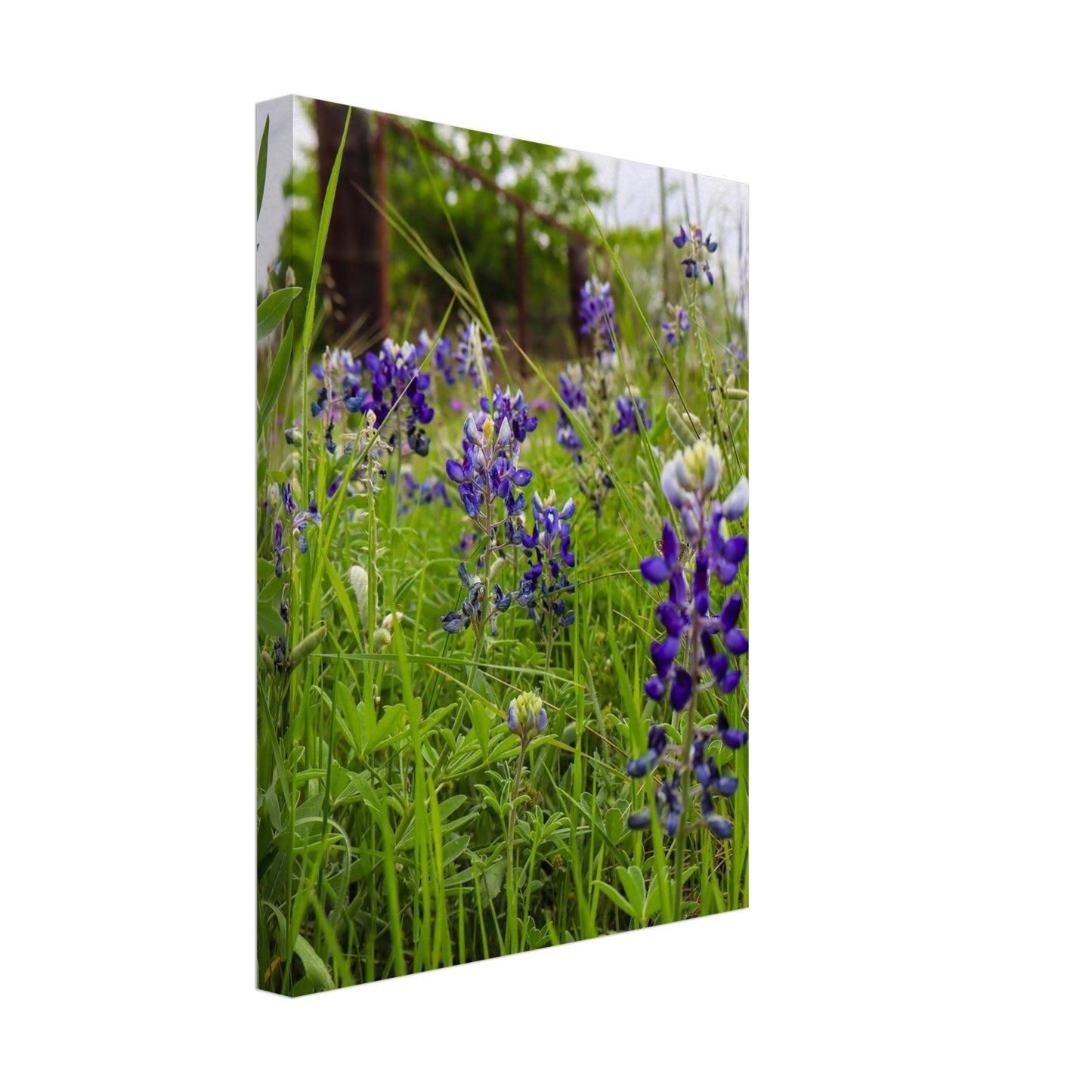 4d27b1de-81df-4556-a2d4-c2f37c4acb76