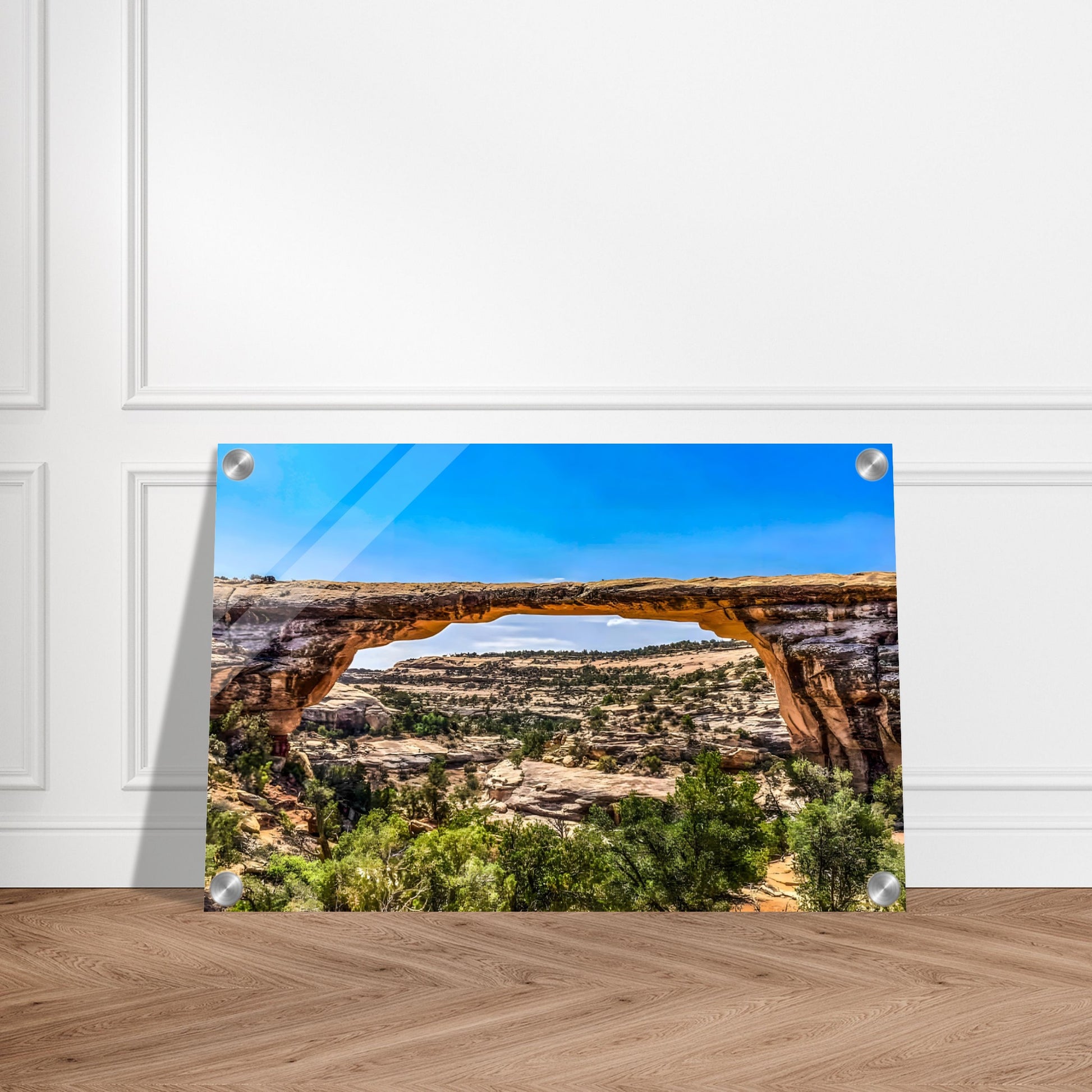 4e62d4d8-9a83-439d-b1bd-e4d4b047be0b