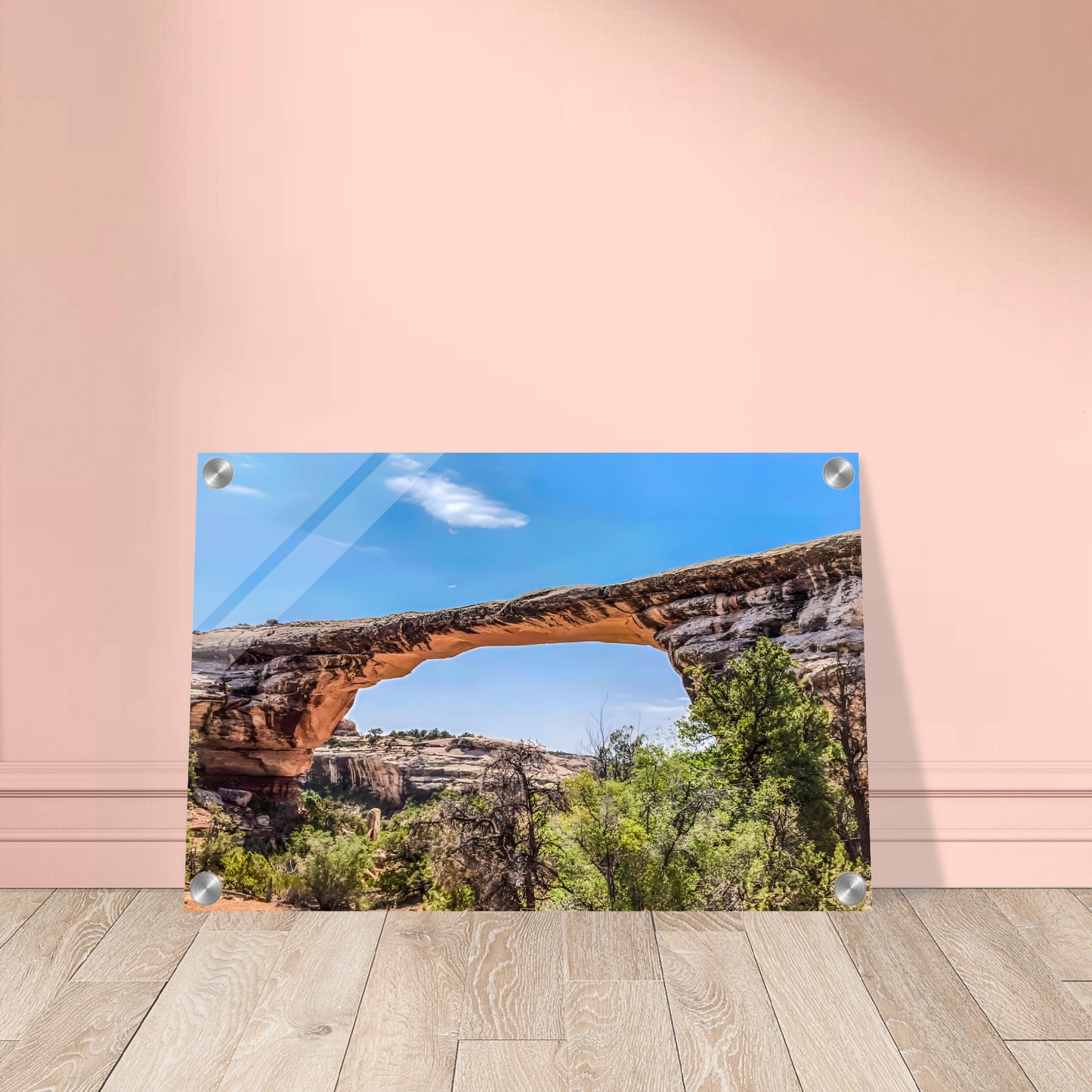 4eaf8117-64c3-4f7c-912a-bfba647070d3