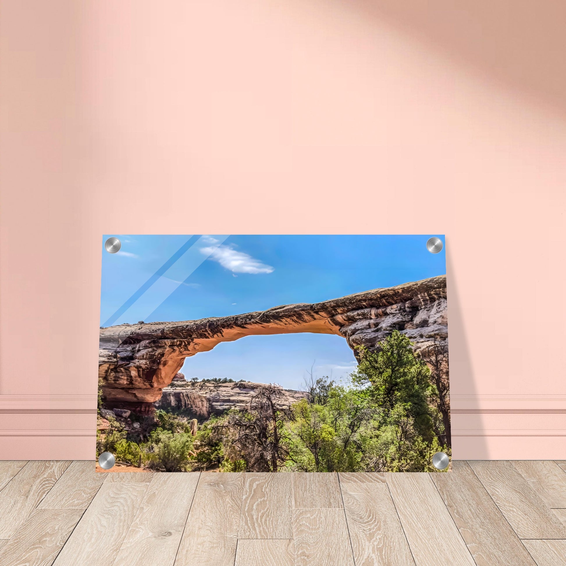 4eaf8117-64c3-4f7c-912a-bfba647070d3