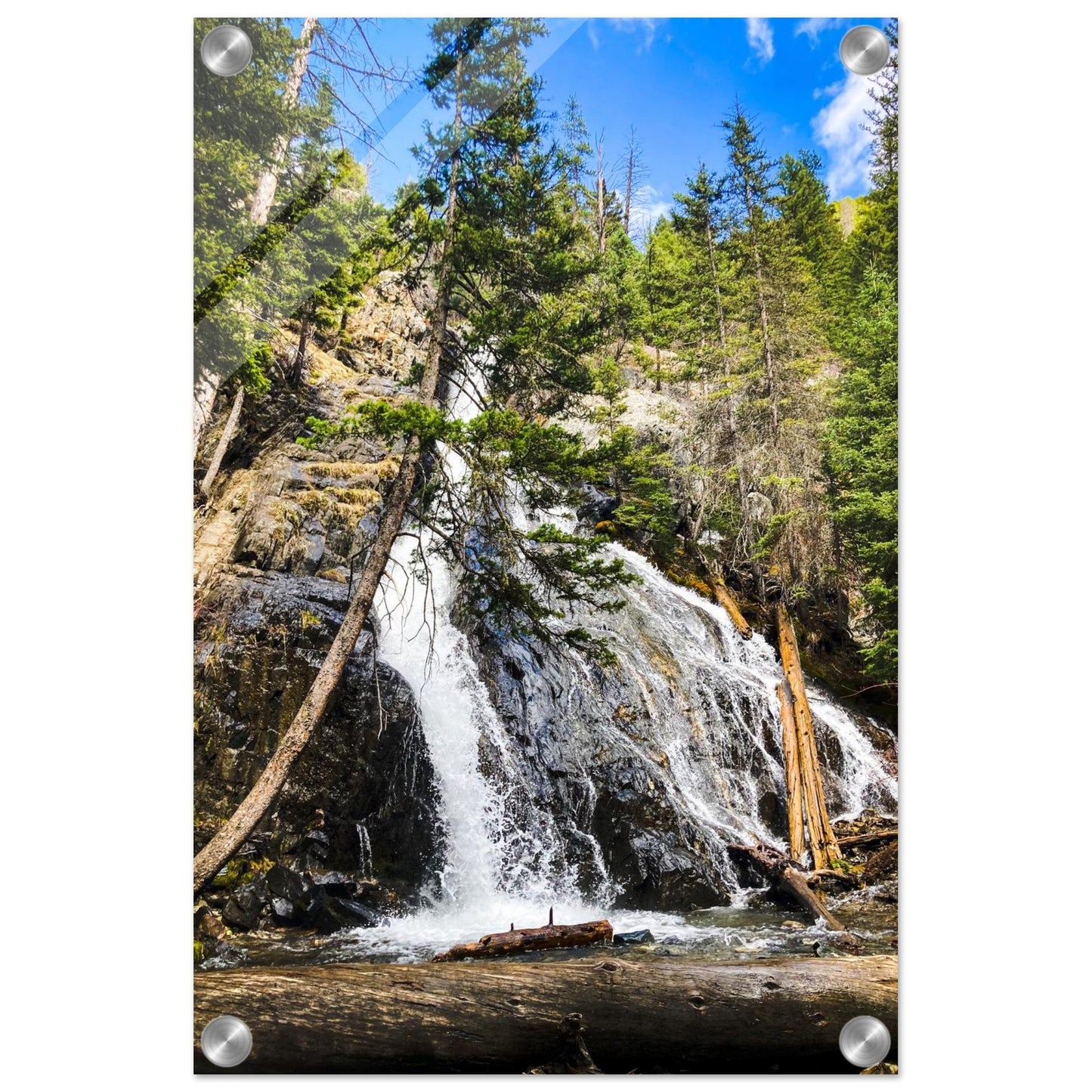 4f41c39c-2df8-45fb-94ec-92ad29eb3e85