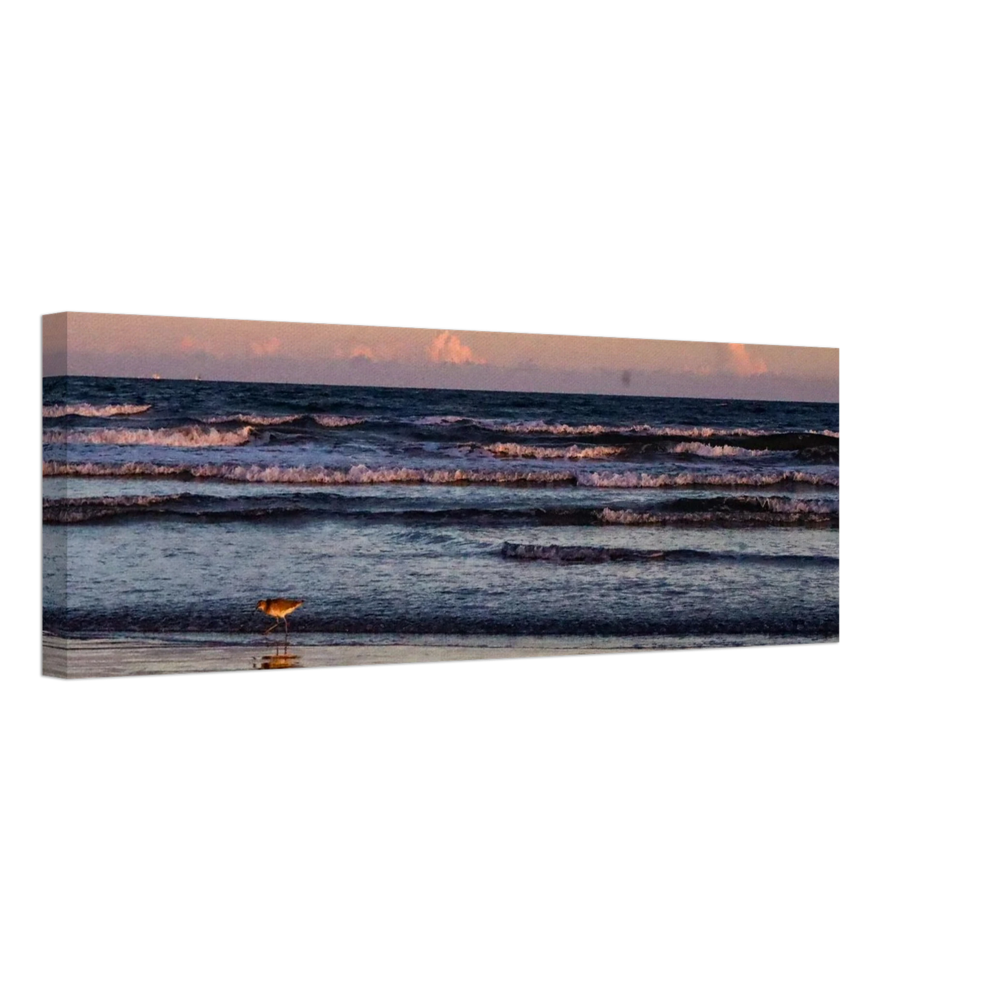 50cc7fe0-6672-44d5-95bd-21760354f26d