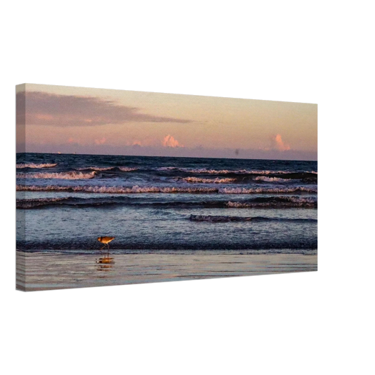 51dd1762-a9df-47d0-a300-9bb4538fc46a