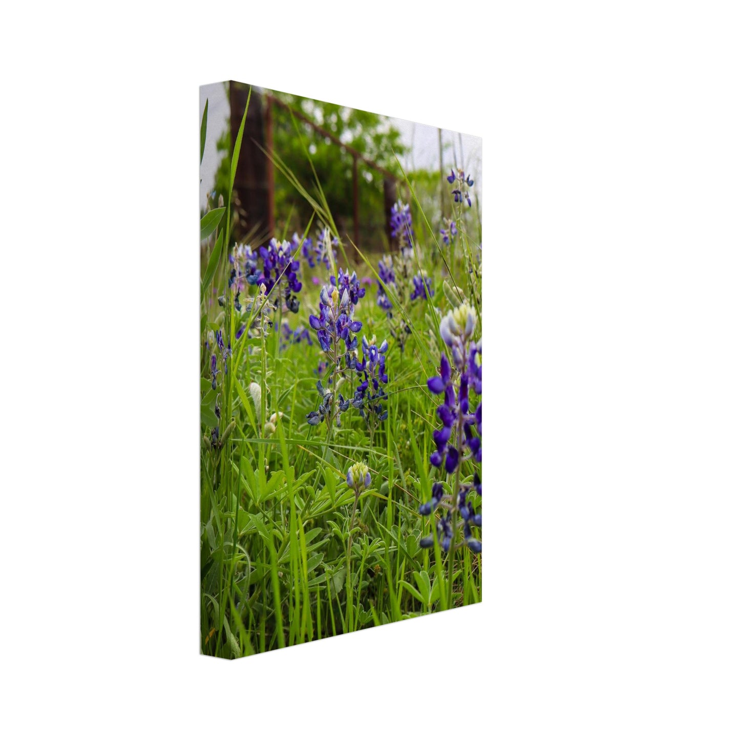 585d634d-16c8-4bb6-9035-8dc691dff11f