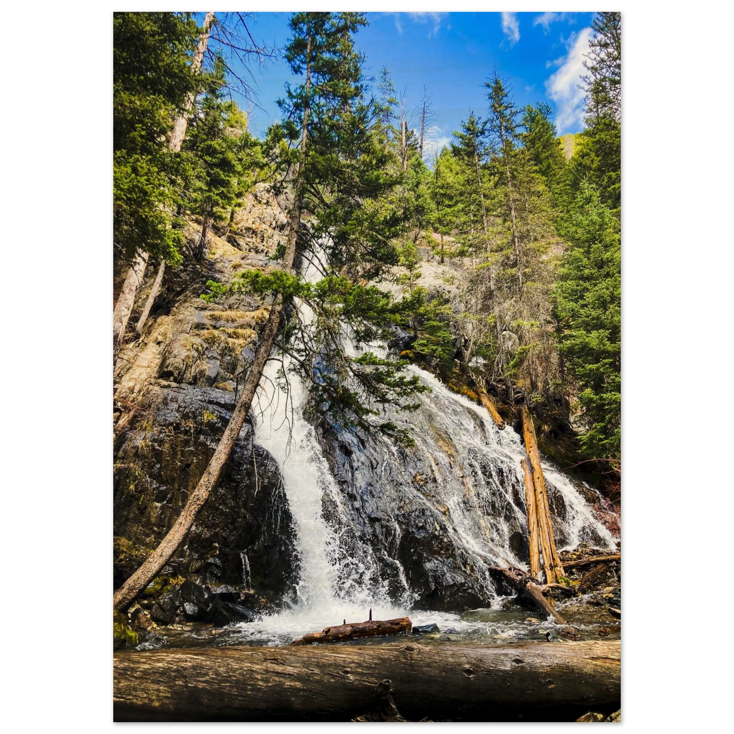 5b3576e9-9216-4180-8d8f-ac19b5be6c96