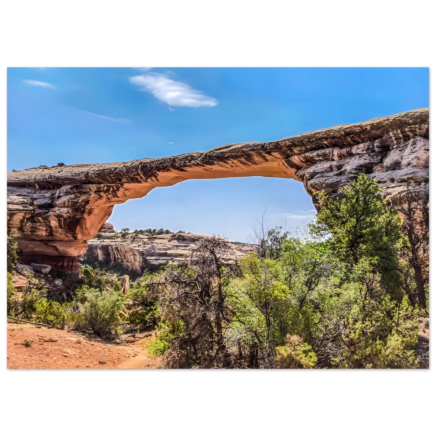 5b6677d7-4bc4-49f1-a254-a069ab9ced65