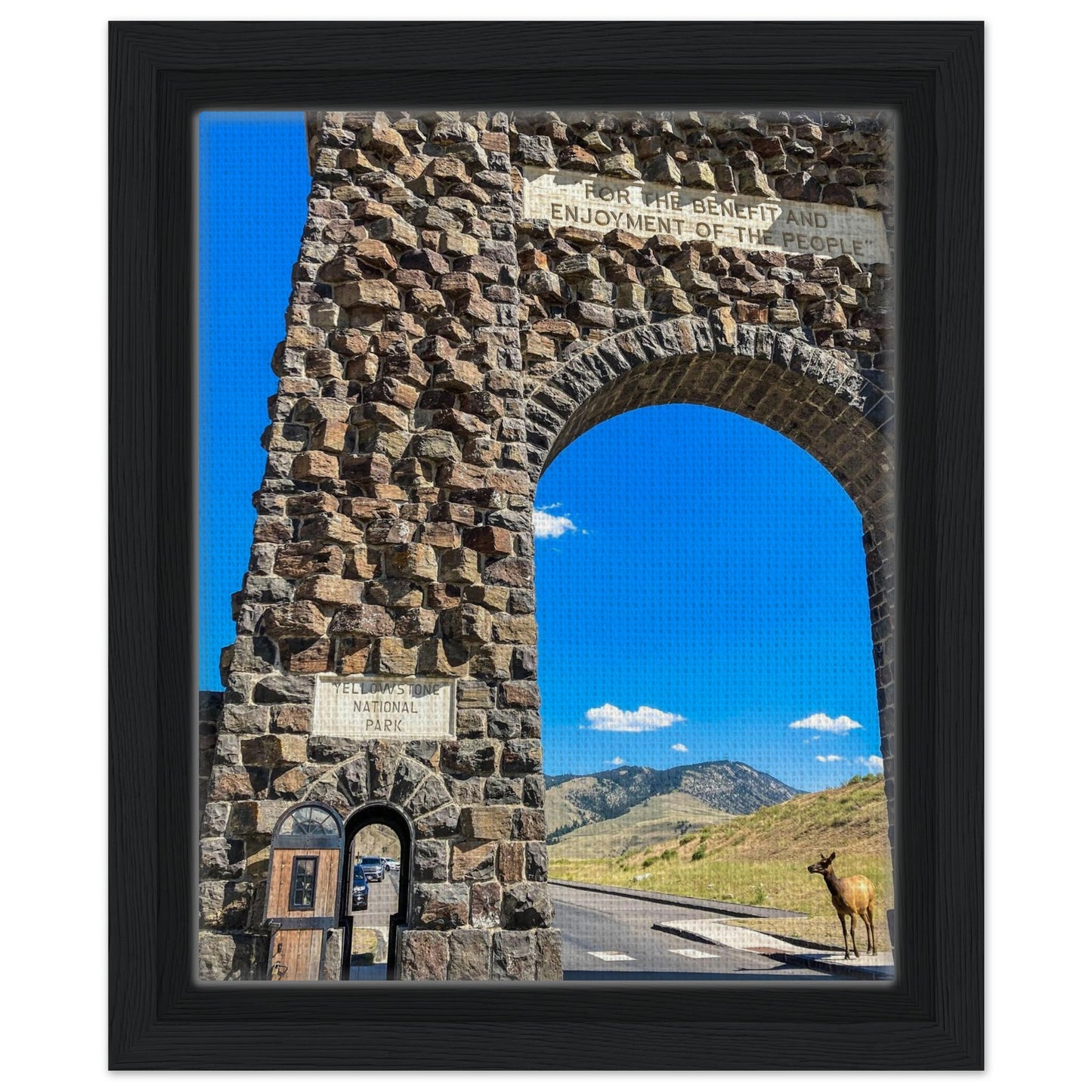 5c935cd5-aabb-42b3-8efb-edbb06217ef1