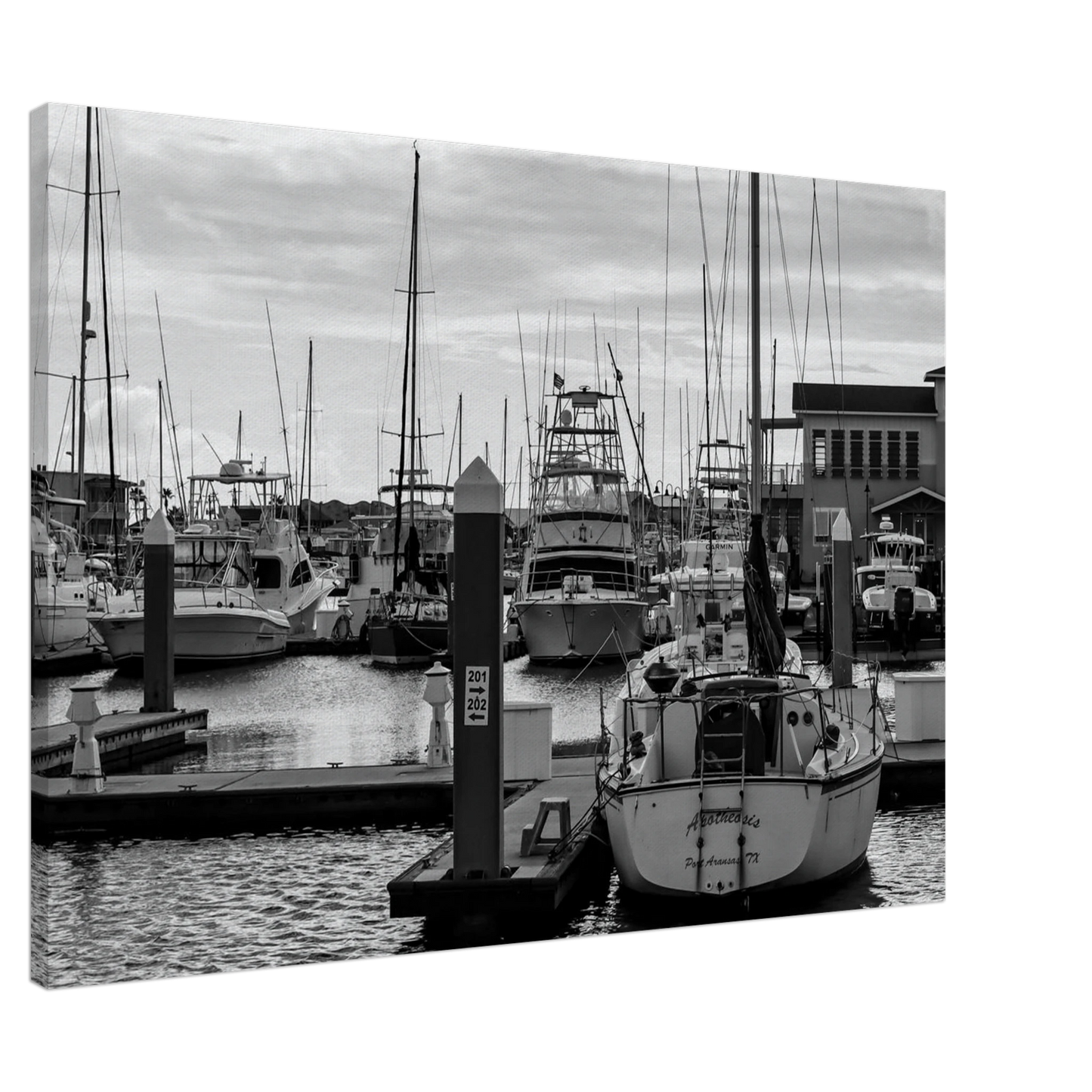 5f5ca74e-bd6c-4881-a974-68214b779a3a