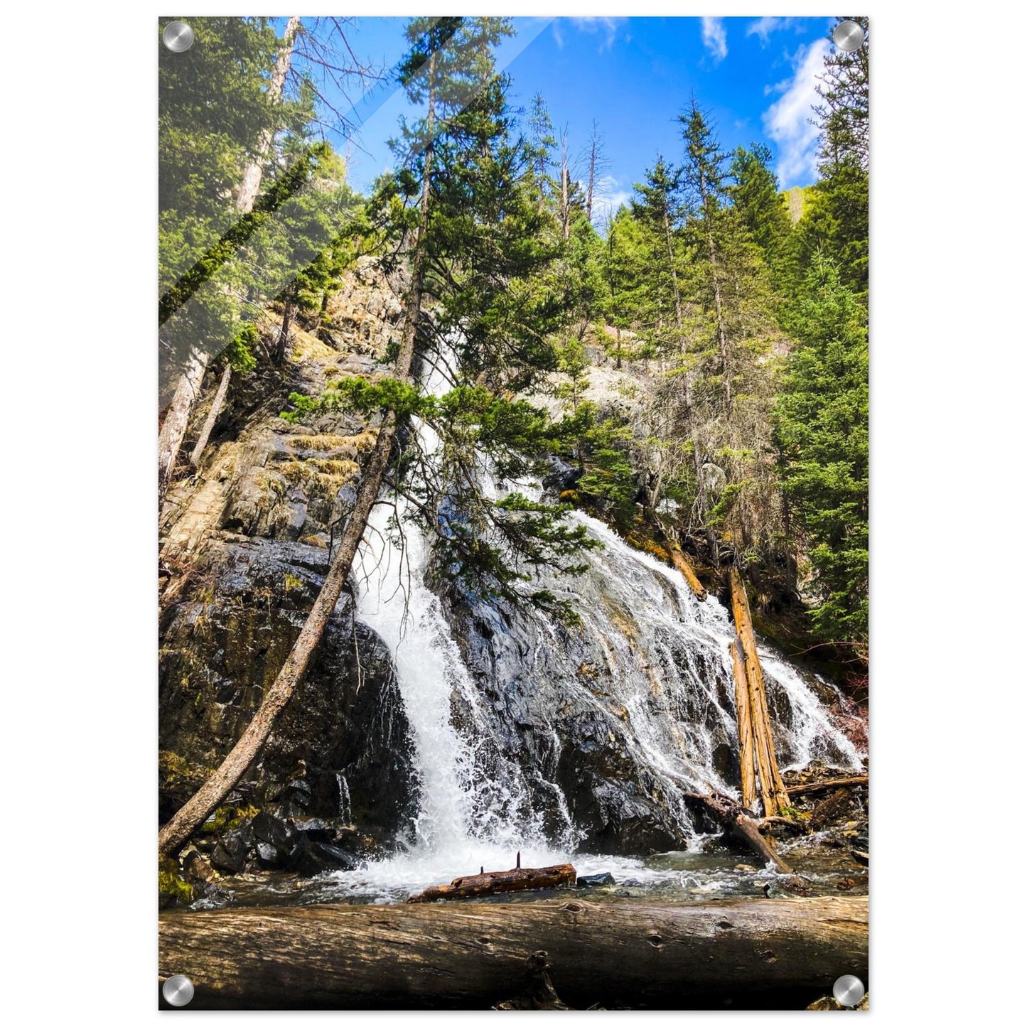 5fecb2ad-81a1-454e-b677-227dd9030db9