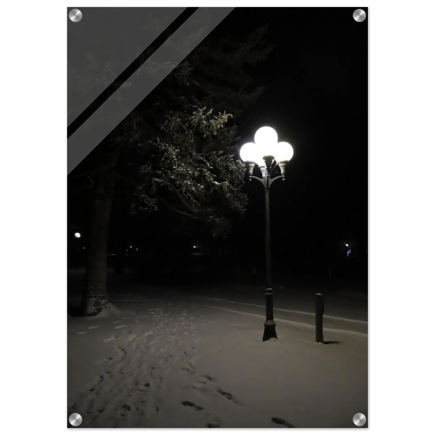 60b2db10-ae3b-41f6-b52f-184c3f5a868d