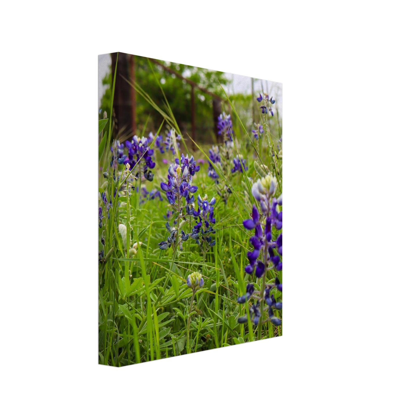 627210c1-80b6-428f-bb41-ddf07dc1a73b