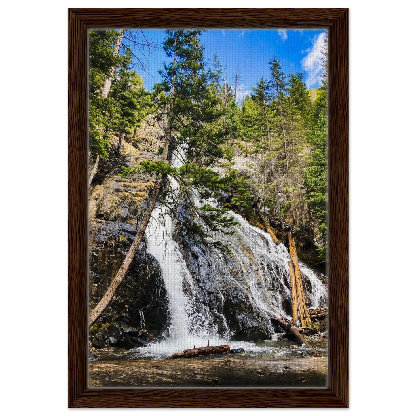 632174d7-7044-4938-b097-72f04c4f1c0f