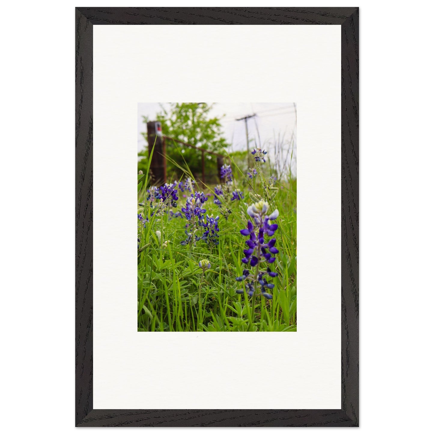 65aebcd7-6f73-43b5-956d-05701bc93762