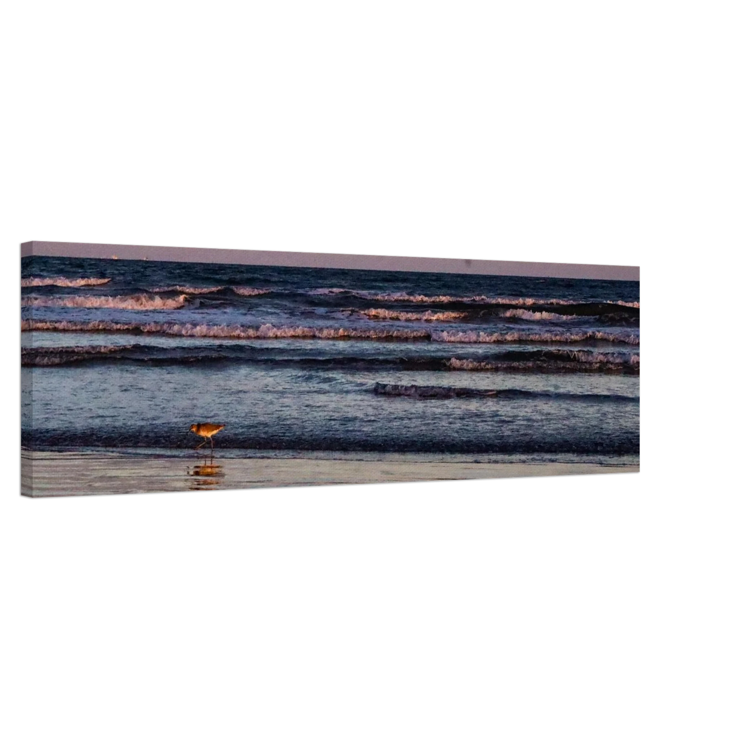 65ce6e02-3e03-479b-acc1-a514996e4ed4