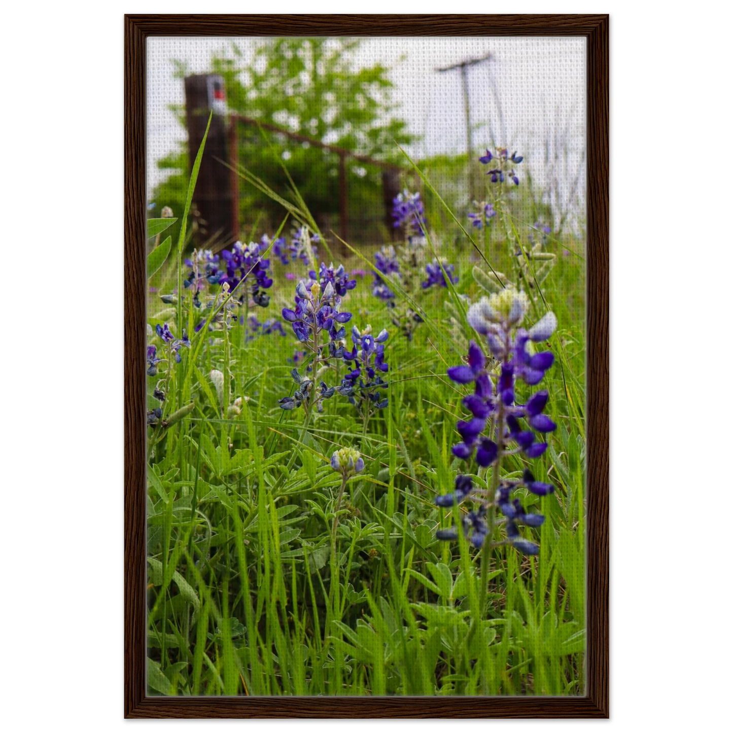 65d176ce-3e70-4894-987e-19ae87e8cbb5