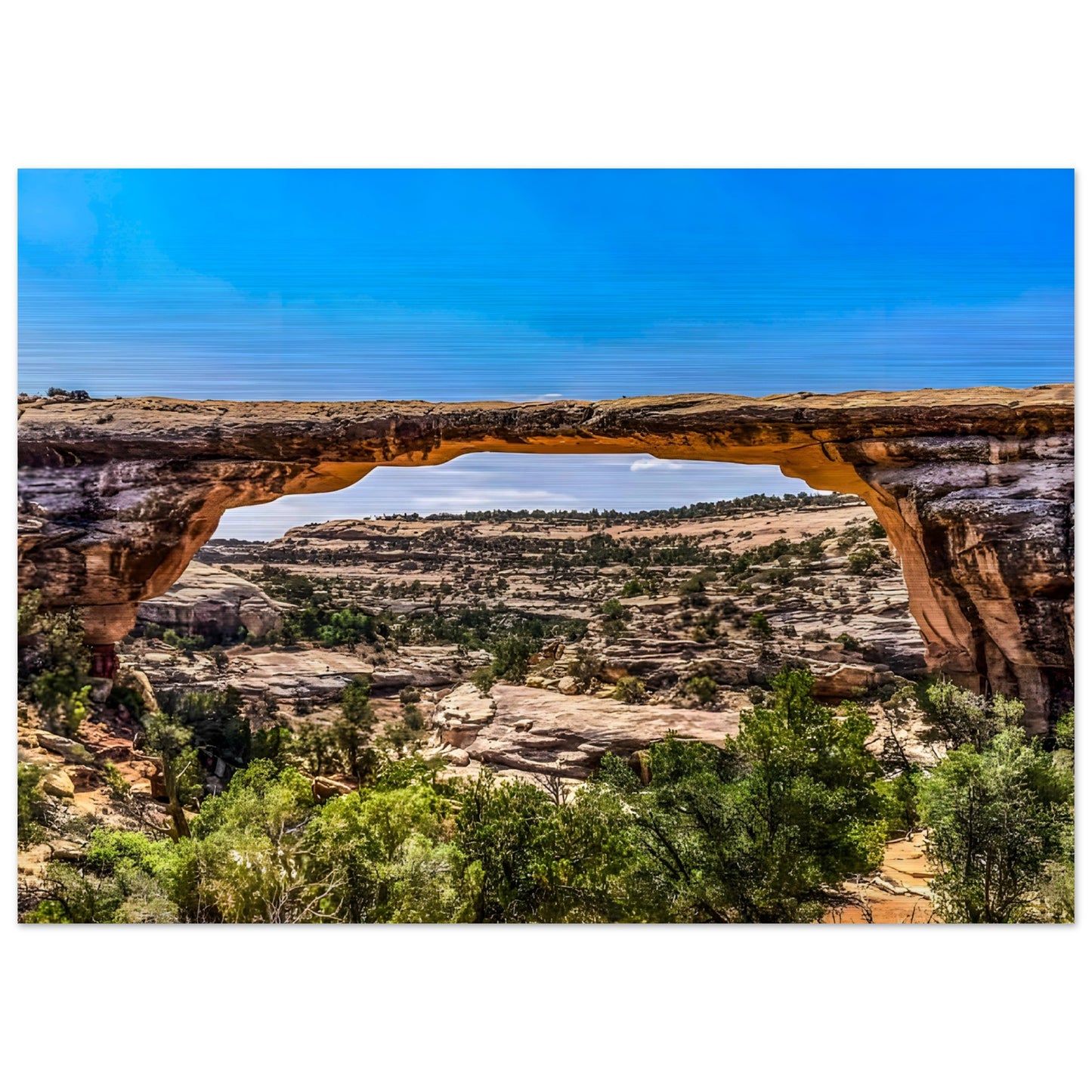 67943fef-e3b5-46df-bb12-7883b9581653