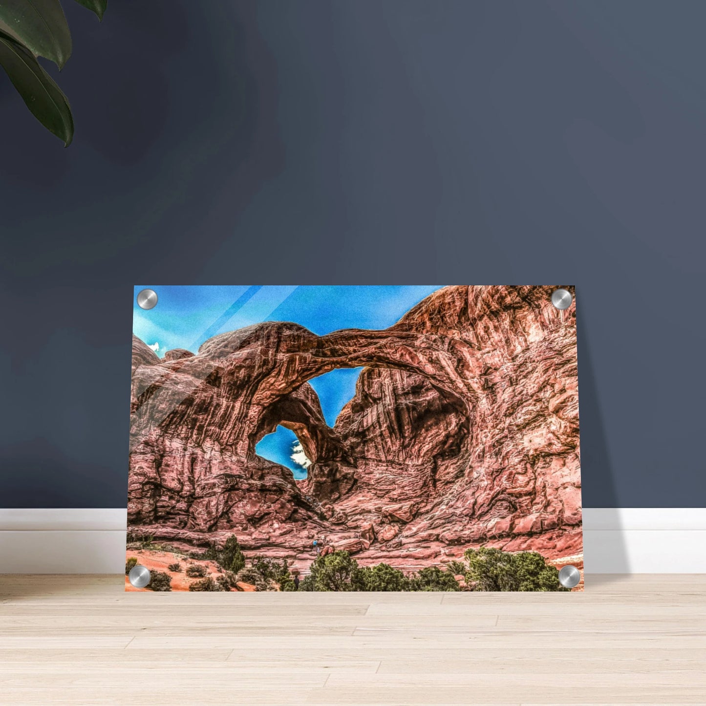 6a0cce0d-c899-4ca9-8bbb-f556d816224b