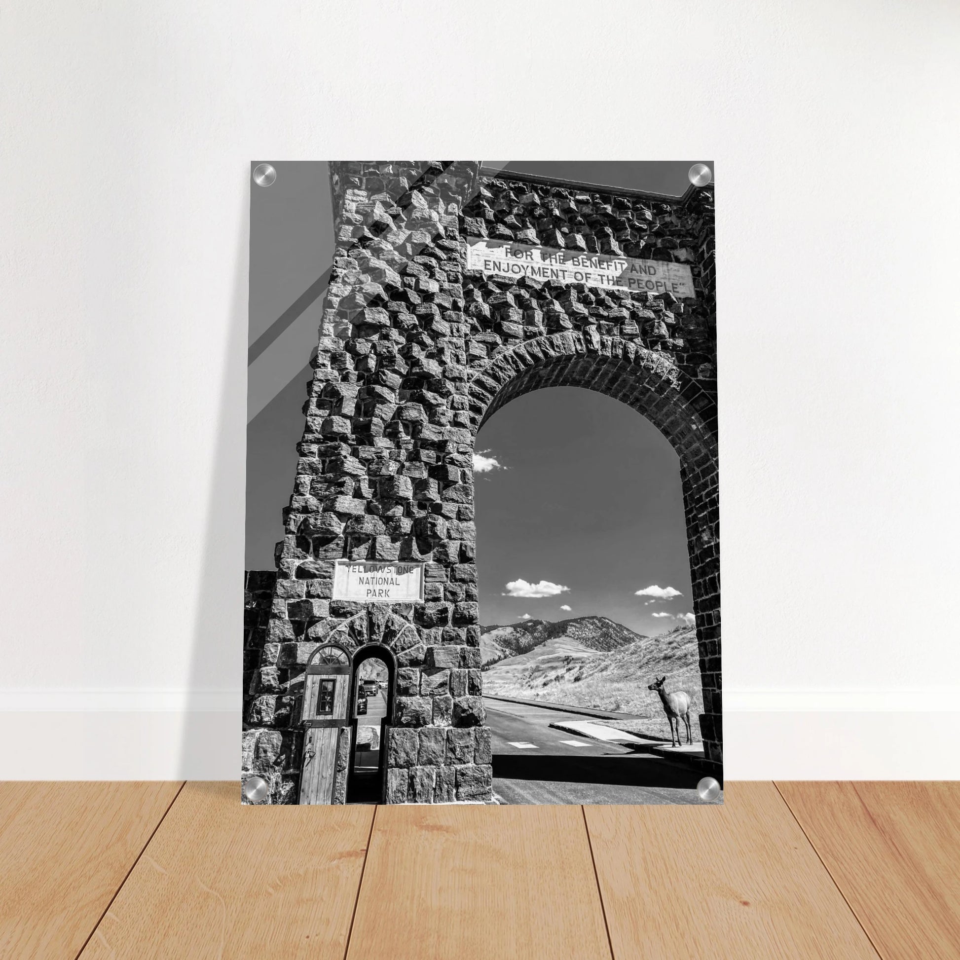 6bbb688c-78dc-419f-9481-7f9f0ad84e26