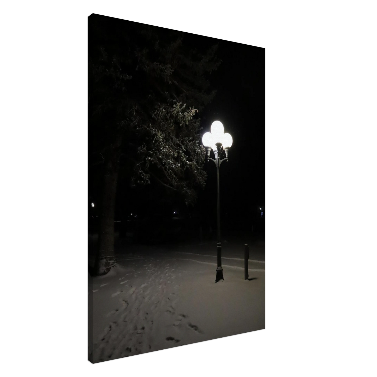 6df67465-111b-4512-aa2a-67195ce99ccf