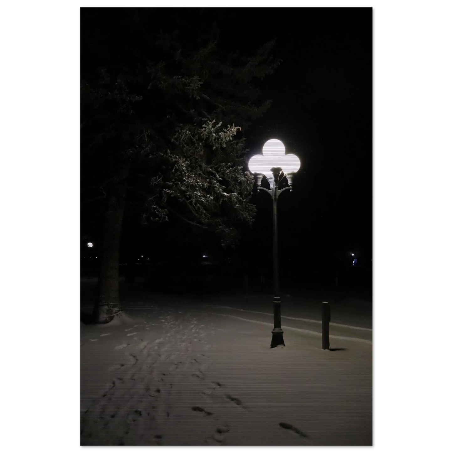 6f6d7976-93f0-47ea-be8e-6703050f7c6e