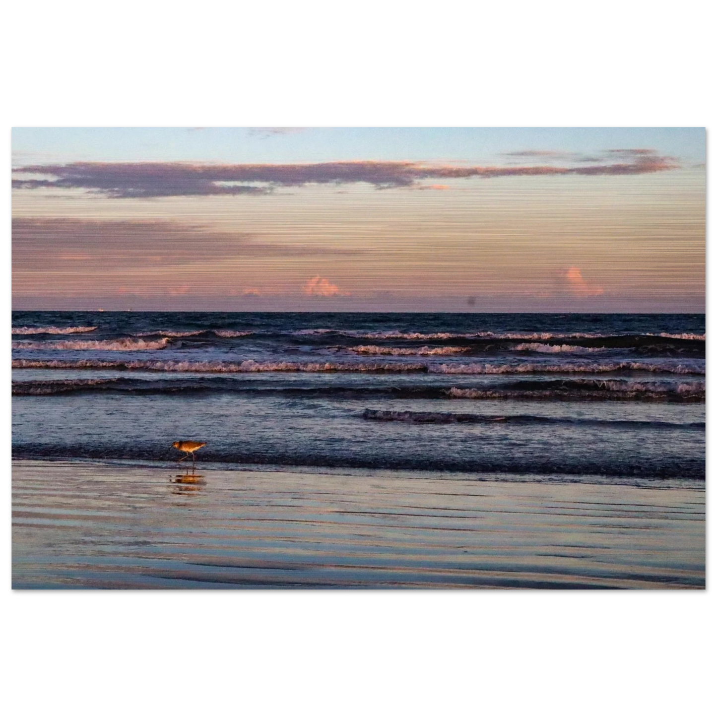 7007cd8b-f5f1-46a5-9898-fef583f2718b