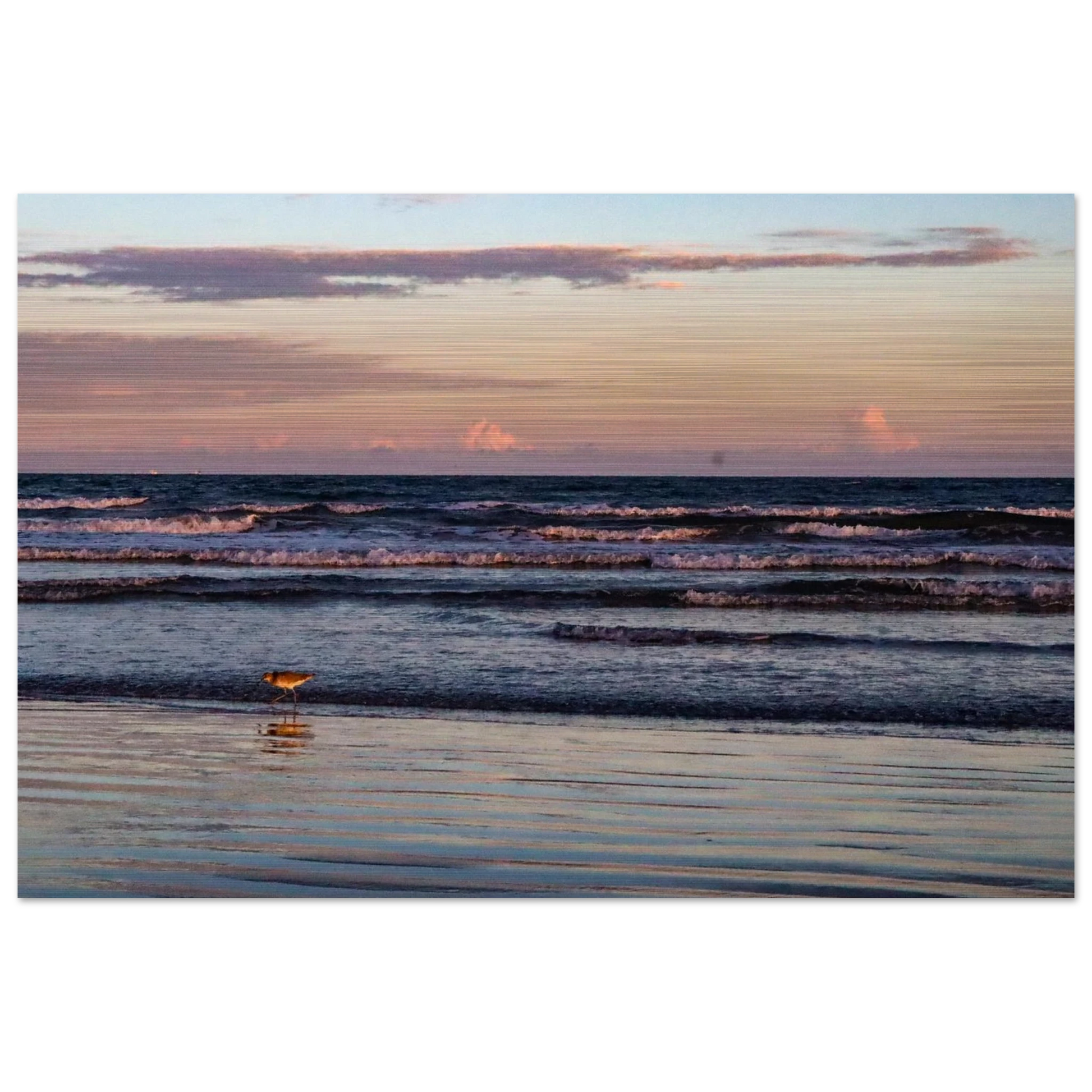 7007cd8b-f5f1-46a5-9898-fef583f2718b