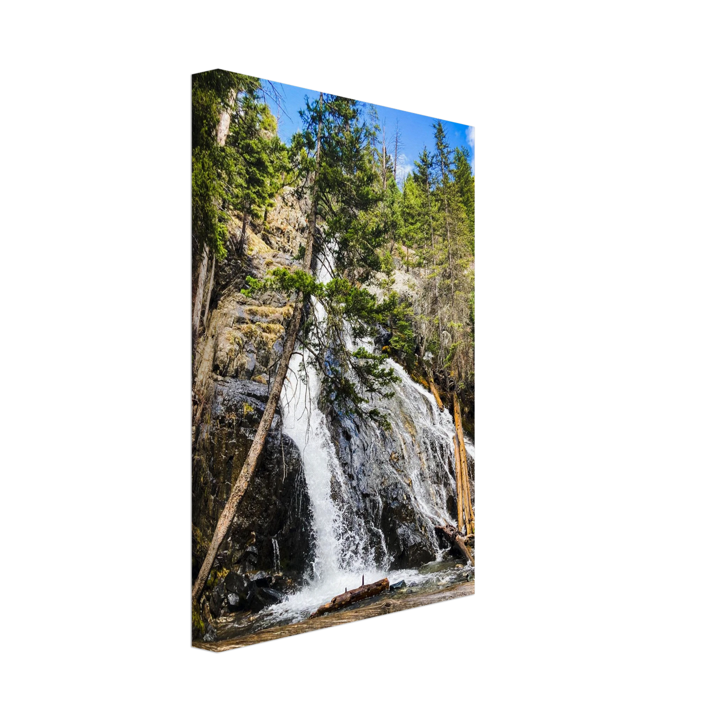 71ba6785-cb34-46e0-982c-894be19455e8