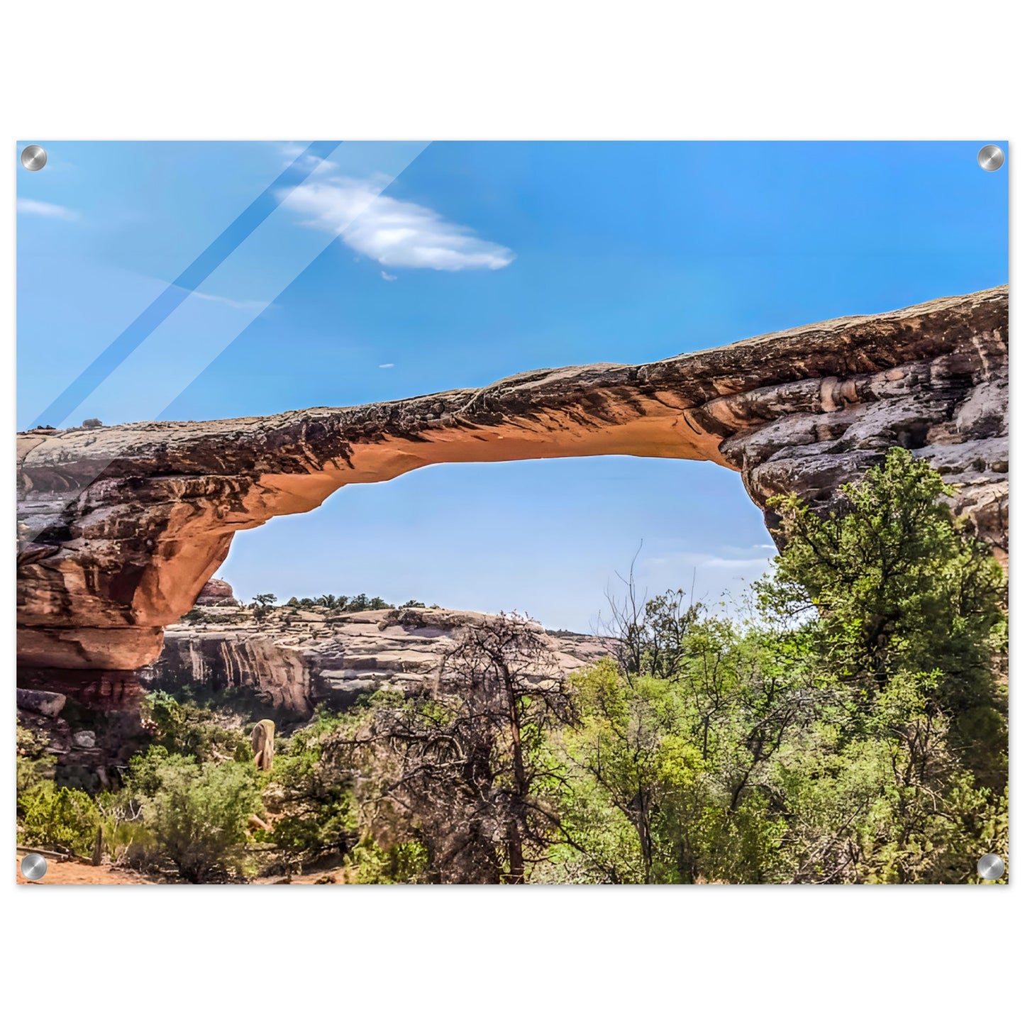 72a8684e-4cbd-47f7-9d14-84876cbec655