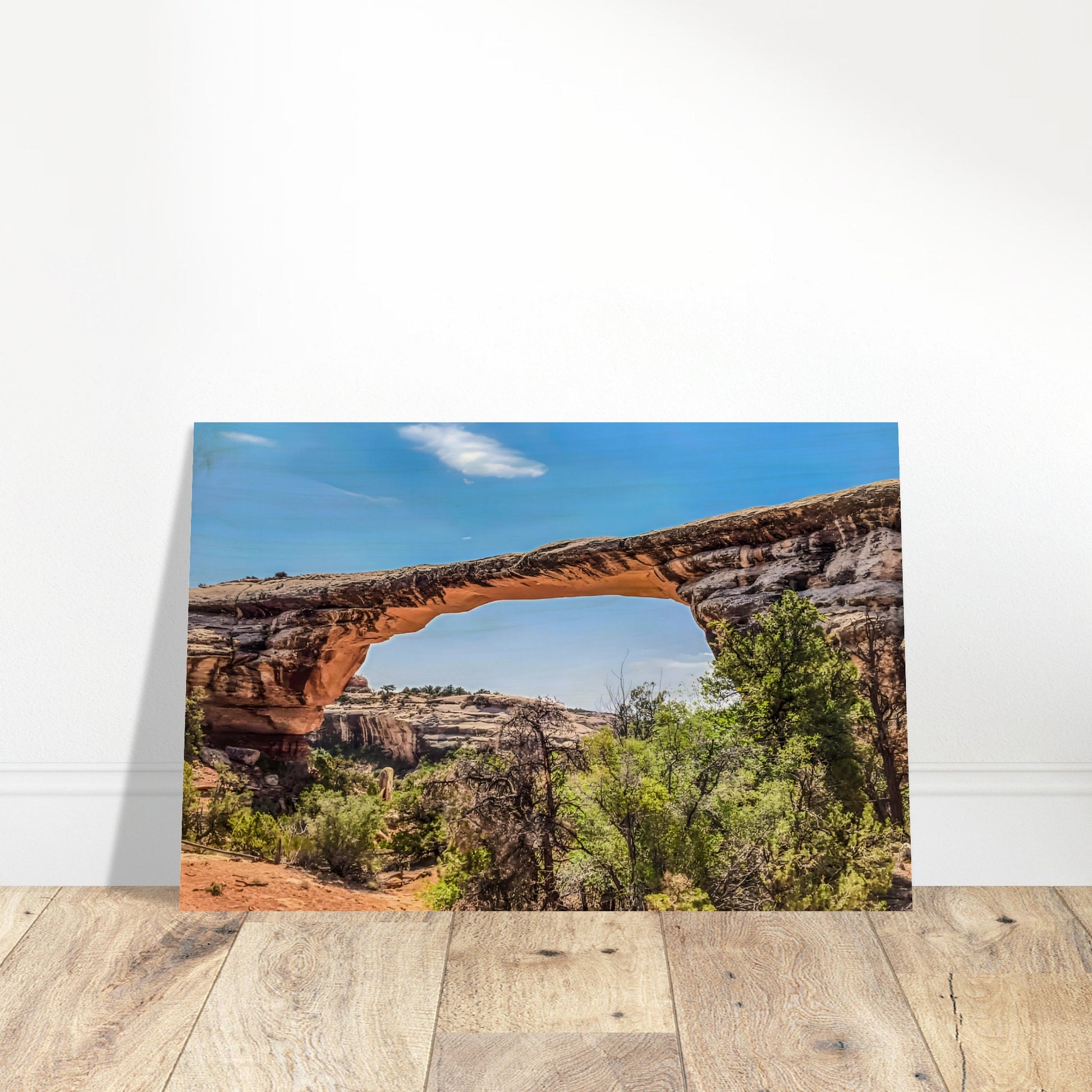 72cb813b-6458-4985-b732-b7c34fae0aa0